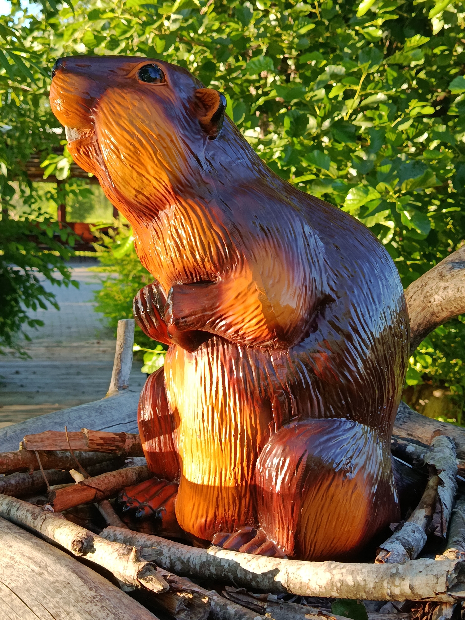 The image shows a wooden carving of a beaver in an outdoor setting, likely in the city of Мяжанскі сельскі Савет, Belarus. The beaver carving is detailed, with visible wood grain and a glossy finish, suggesting it is a decorative item. It is positioned among natural elements such as logs and branches, possibly arranged to resemble a beaver's lodge or habitat. The background consists of lush green foliage and trees, with sunlight filtering through, indicating a daytime scene. The overall impression is of a rustic, handcrafted art piece displayed in a natural environment. There are no people visible in the image.