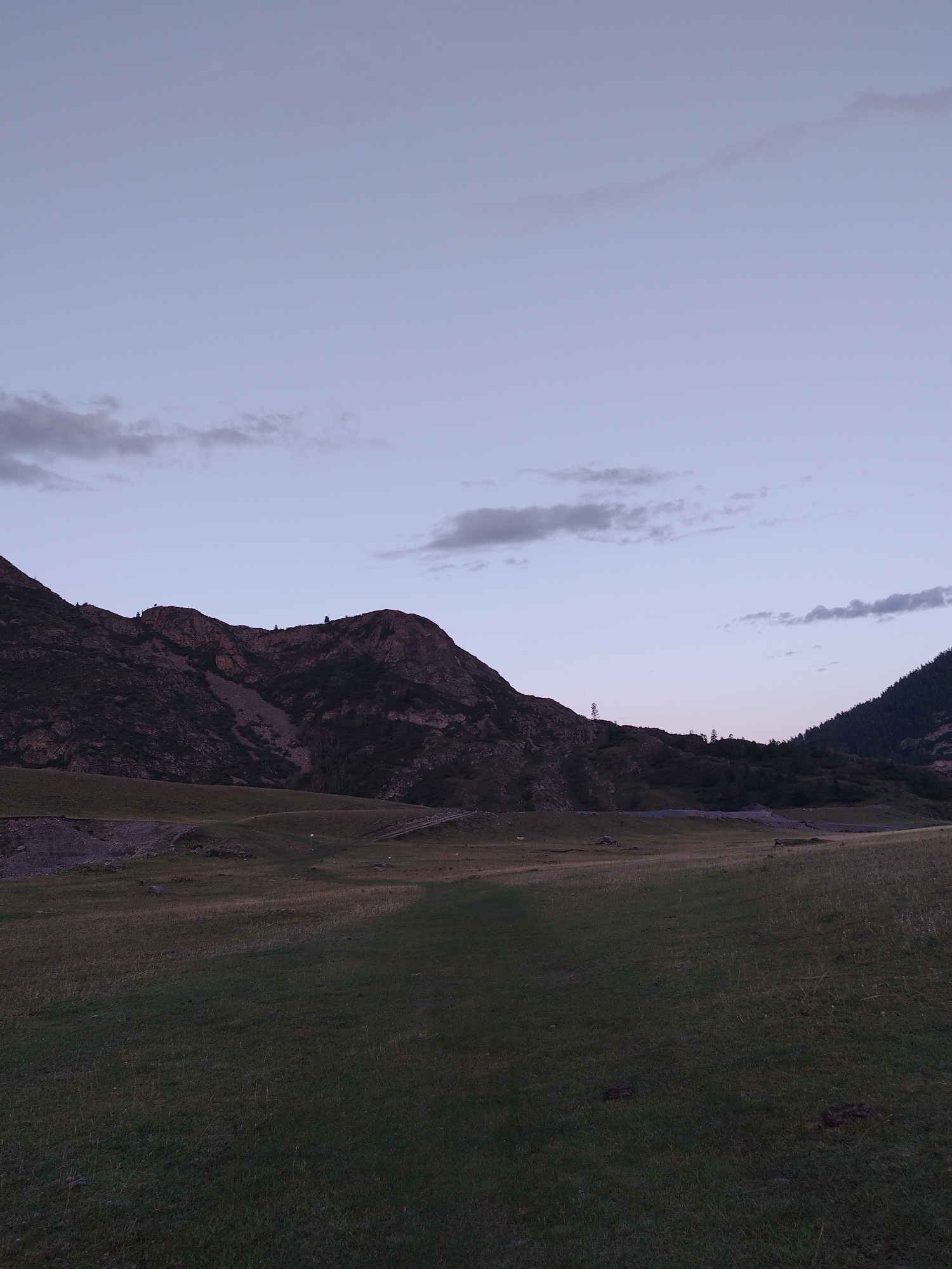 The image depicts a natural landscape under a twilight sky. In the foreground, a wide expanse of grass slopes gently upwards, appearing somewhat uneven and dimly lit, suggesting low light conditions. Some scattered dark patches, possibly animal droppings or vegetation clumps, are visible on the grass. A faint path or track can be discerned traversing the grassy area.
In the midground, the terrain rises into rolling hills covered in sparse vegetation and some rocky outcrops. A more distinct road or track is visible on the right side of the midground.
The background is dominated by the silhouettes of mountains. The mountains are rugged, with visible rocky textures and dark, shadowy slopes. Some scattered trees or shrubs appear on the lower slopes and ridges of these mountains. The sky above is a soft gradient of pale blue and lavender, with a few wispy, elongated clouds.
The scene appears to be located in a rural or mountainous area, consistent with the natural beauty of the region surrounding Iodro, Russia. There are no people, animals, or man-made structures visible in the image, other than what appear to be faint tracks or paths. The overall atmosphere is serene and quiet, indicative of dusk or dawn in a remote natural setting.