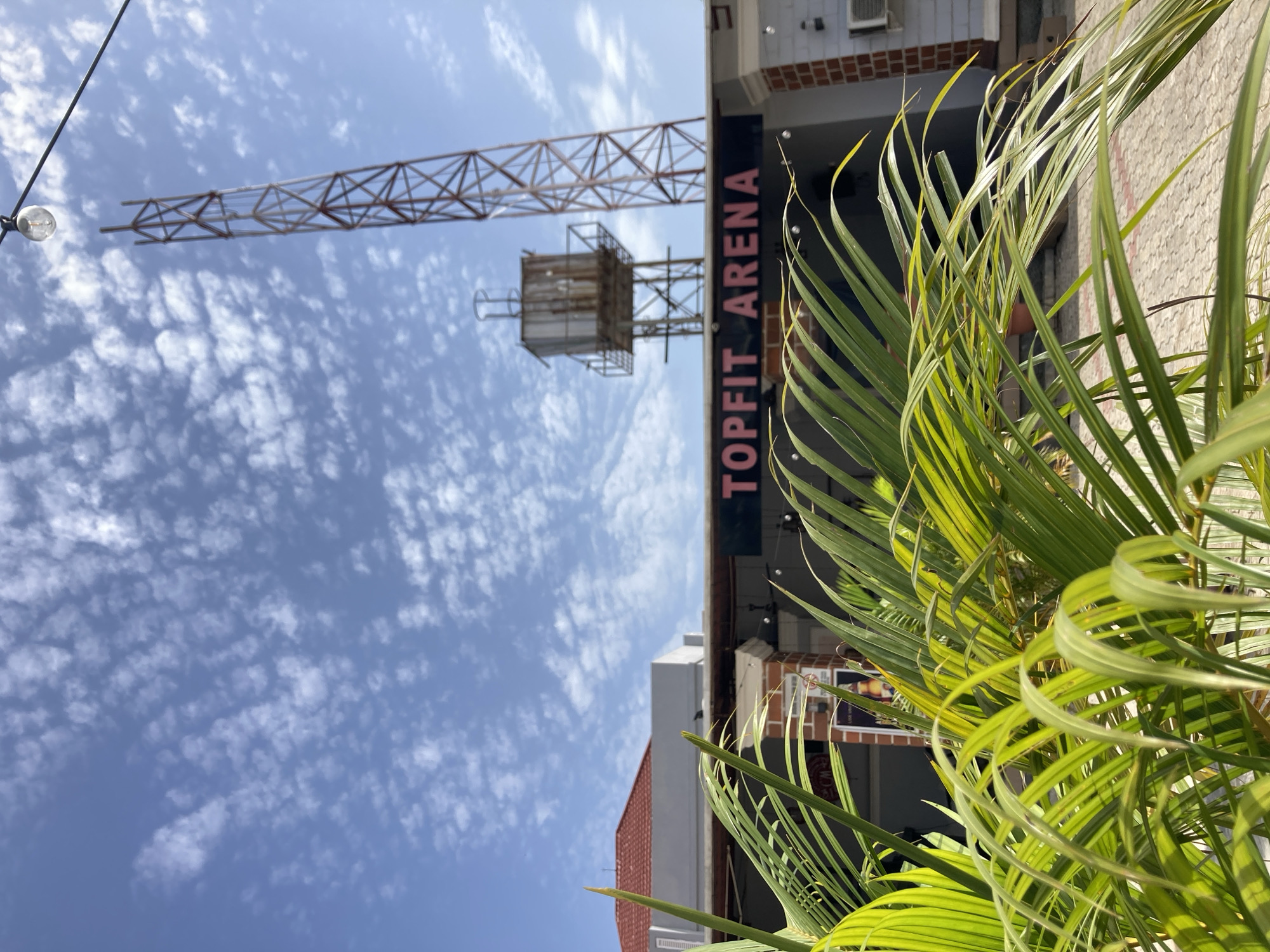 In Gwarinpa, Nigeria, a building with the signage "TOPFIT ARENA" is visible under a bright, partly cloudy blue sky. In the foreground, lush green palm fronds obscure parts of the building's facade. Behind the building, a tall, metal lattice tower with a rusted water tank on a separate platform stands against the sky. The building's architecture includes a red-tiled roof on a portion of the structure and brickwork accents. A single lightbulb hangs from a wire in the upper right of the frame.