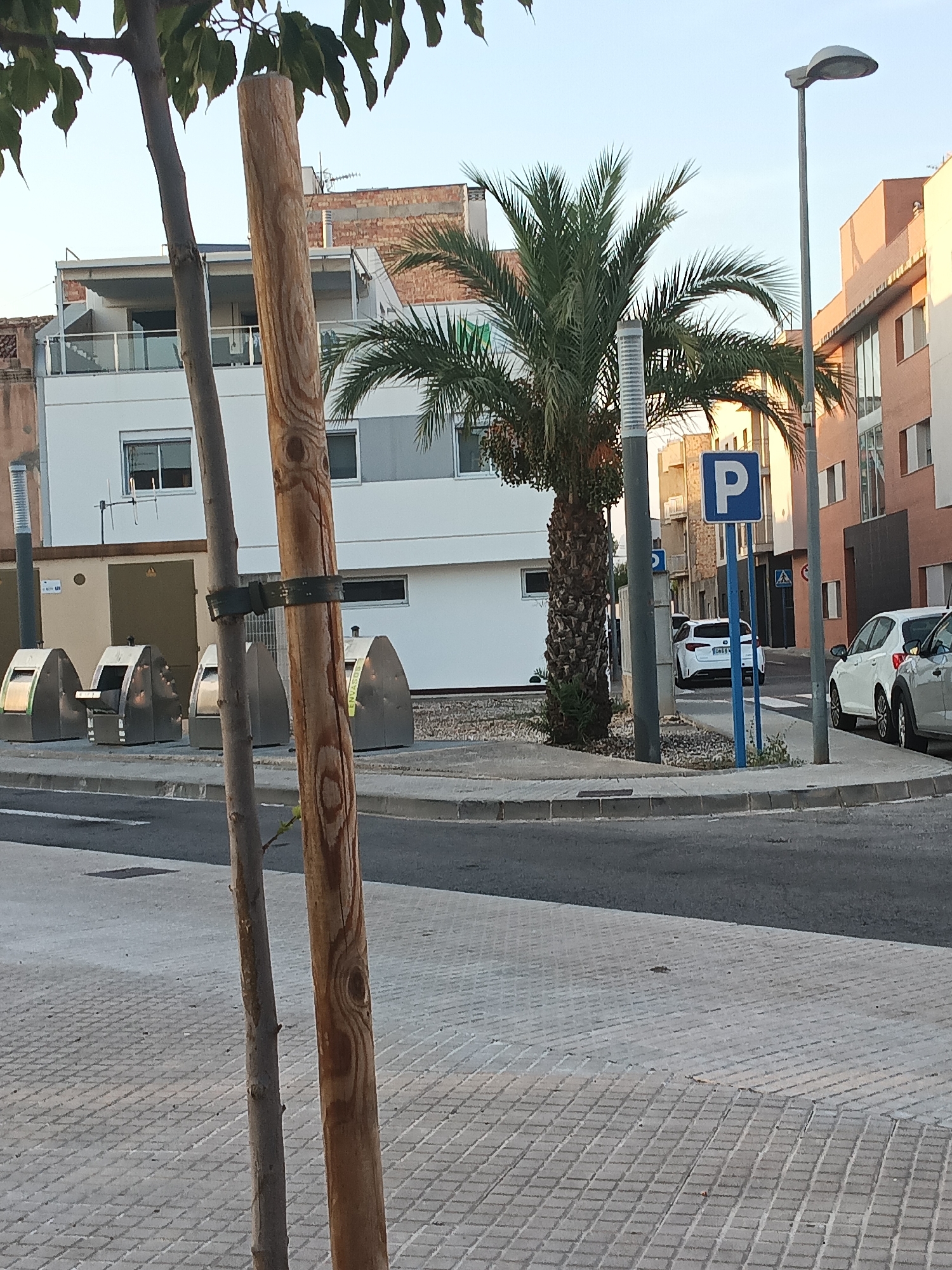 The image shows a street scene in Tortosa, Spain, with a focus on the foreground elements of two trees and some street furniture. A large, rough-barked wooden pole stands in the center of the frame, with a thinner, smoother tree trunk to its left. Both trees are partially obscured by green foliage at the top of the image.
In the middle ground, several grey, metallic trash receptacles with angled openings are lined up along the sidewalk. Behind the receptacles, a white building with multiple windows and a balcony is visible. A tall palm tree with dark fronds is situated between the trash receptacles and the building. Further down the street, a blue parking sign with a white "P" is mounted on a pole.
In the background, there are more buildings, including one with a reddish-orange facade. Several cars are parked along the street, including a white hatchback and a white sedan. The sky is clear and a pale blue. The ground is paved with interlocking grey bricks, and a section of dark asphalt road is visible. The scene appears to be taken in the late afternoon or early evening, as indicated by the soft lighting.