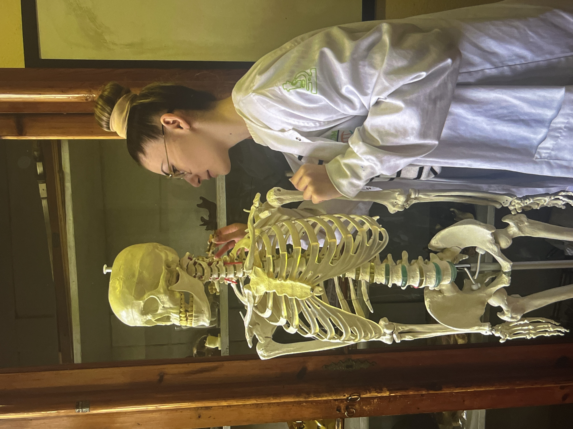 A woman in a white lab coat stands in front of a glass cabinet containing a human skeleton. The woman has her hair in a bun and is wearing glasses. She is looking at the skeleton and appears to be examining it. The skeleton is complete and is in a standing position. The environment appears to be a science classroom or museum. The location is unknown.