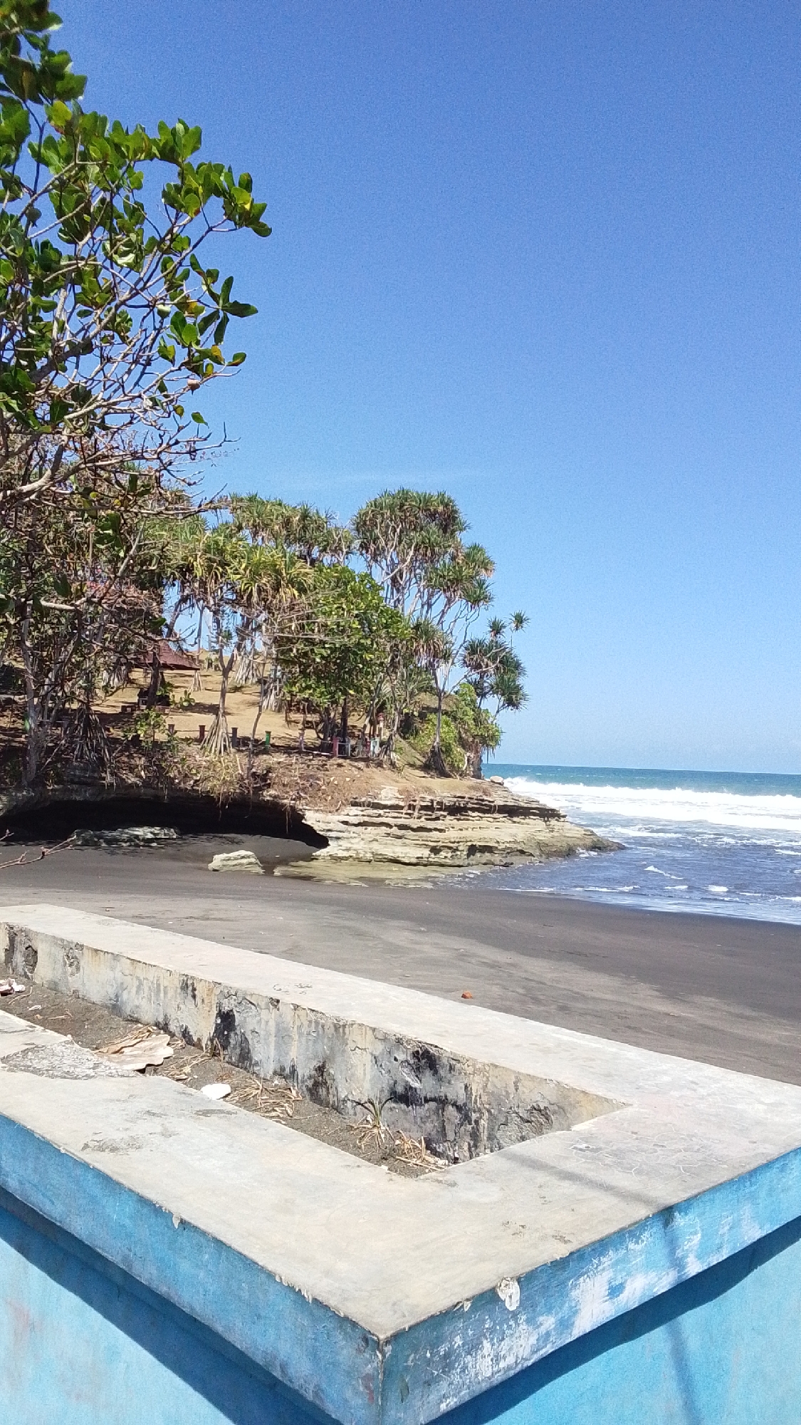 The image depicts a serene beach scene in Desa Ciliang, Indonesia. In the foreground, a light blue structure with a concrete top edge forms a prominent border, suggesting a man-made viewing area or walkway. Beyond this, the dark sand of the beach stretches towards the ocean. The middle ground is characterized by a rocky outcrop dotted with lush green trees, their branches reaching towards the clear blue sky. Some of these trees appear to be pandanus plants with their distinctive spiky leaves. A small, reddish-brown structure, possibly a building or shelter, is nestled among the trees on the elevated terrain. The ocean, with its gentle waves, occupies the background, meeting the horizon under a cloudless sky. The scene is devoid of any people, animals, or vehicles, presenting a tranquil and natural landscape.