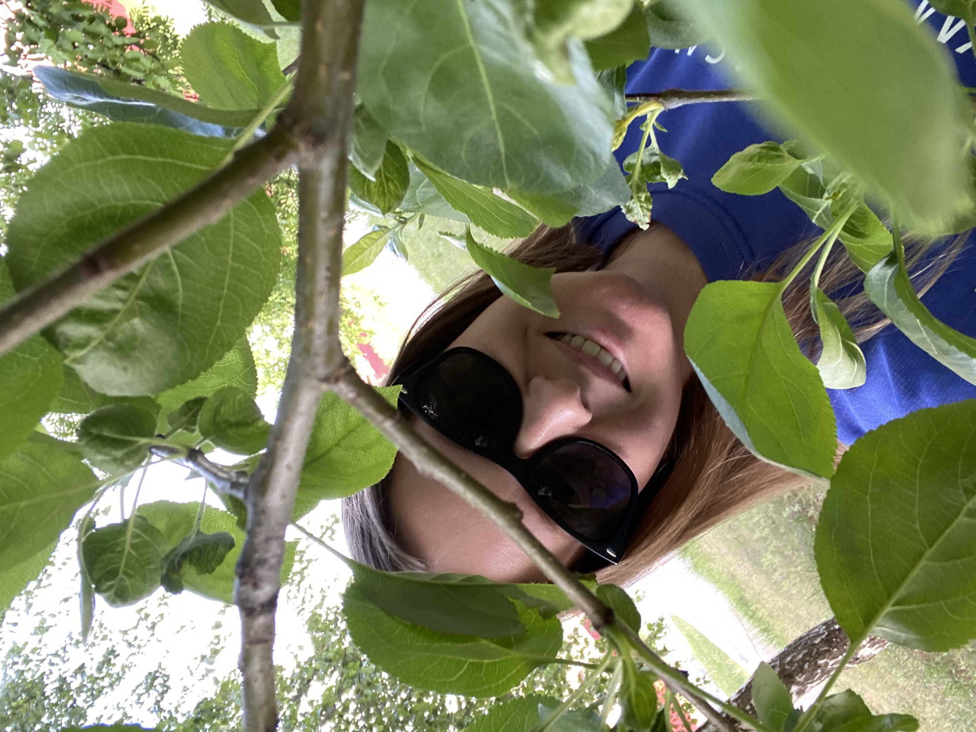 A woman with long blonde hair is visible from the nose up, wearing sunglasses and a blue sweatshirt. She is surrounded by green leaves and branches, likely from a tree. The location is not possible to ascertain from the image alone.