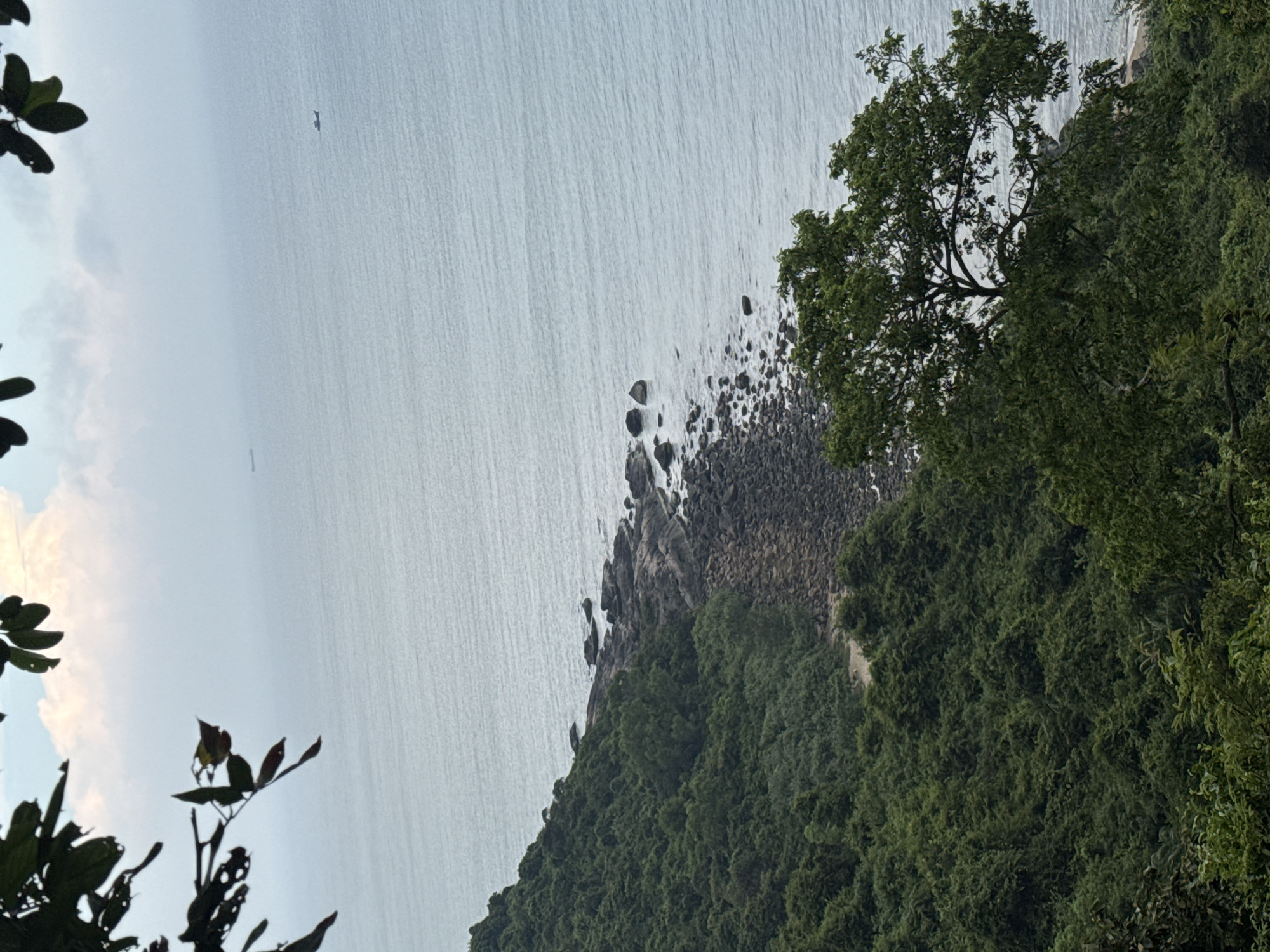 A high-angle view shows a rocky coastline abutting the ocean, framed by foliage on either side. The ocean is calm and grey, and a small boat is visible in the distance. A dense expanse of green vegetation covers a slope descending towards the rocky shore, punctuated by a walking path. The scene is likely taken at Sơn Trà Peninsula in Đà Nẵng, Vietnam.