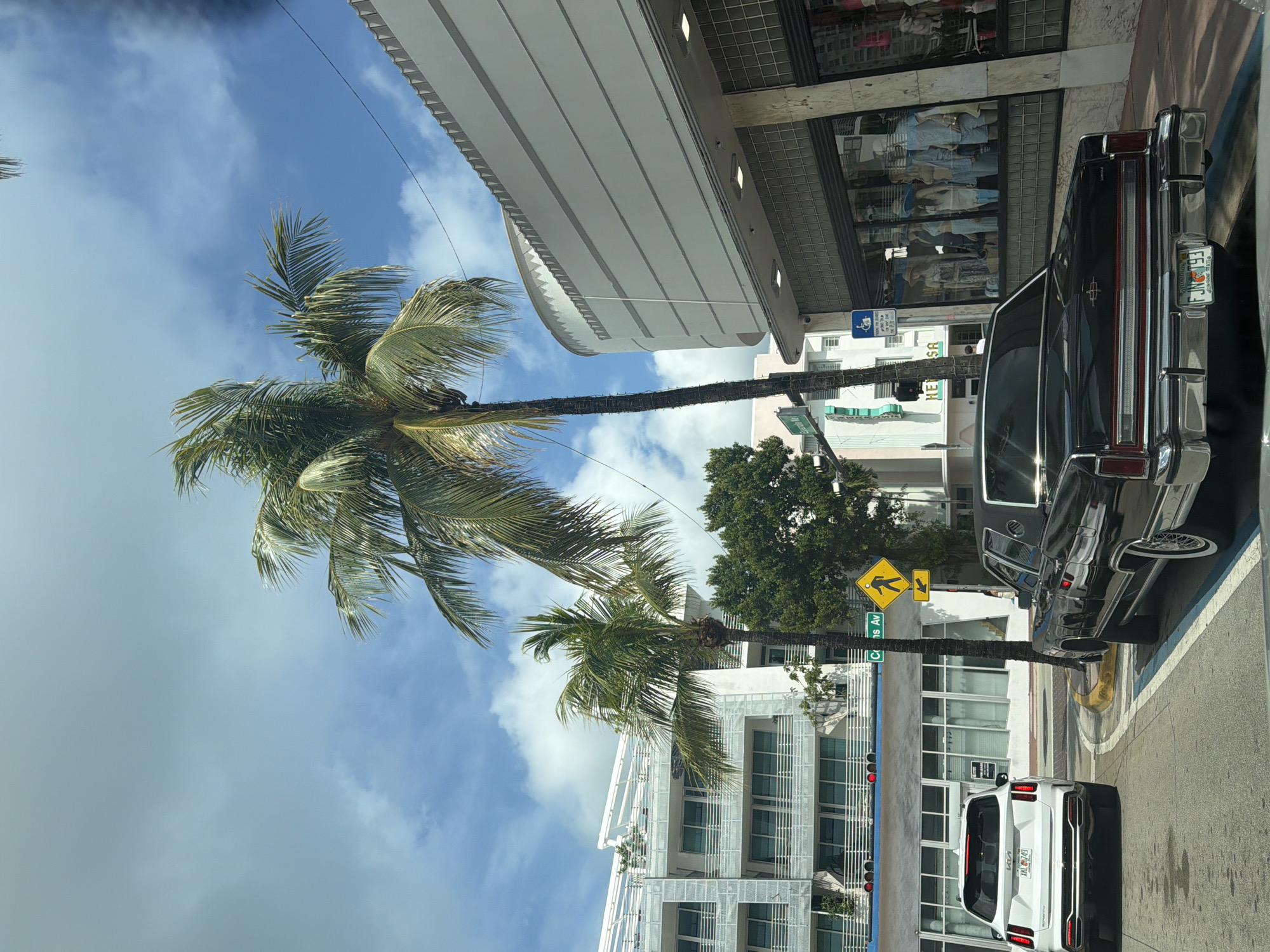The image captures a street scene in Miami Beach, Florida, USA, on a partly cloudy day. In the foreground, a vintage black Lincoln Continental is parked. To its left, a white Kia Sorrento is also parked. A traffic signal with red lights is visible in the background. Two palm trees are prominent in the scene, with their fronds extending towards the sky.
Behind the vehicles, a modern white building with multiple balconies and large windows stands. Further back, a building with a curved, art deco-style facade is visible, featuring horizontal decorative elements. Storefront windows with mannequins displaying clothing are visible on the right side of the image. A street sign reading "Collins Av" is present. A pedestrian crossing sign with a silhouette of a person walking is also visible, along with a blue and white sign indicating accessibility parking. The street is paved, and a yellow curb is present. The overall environment suggests a bustling urban setting with a mix of architectural styles.