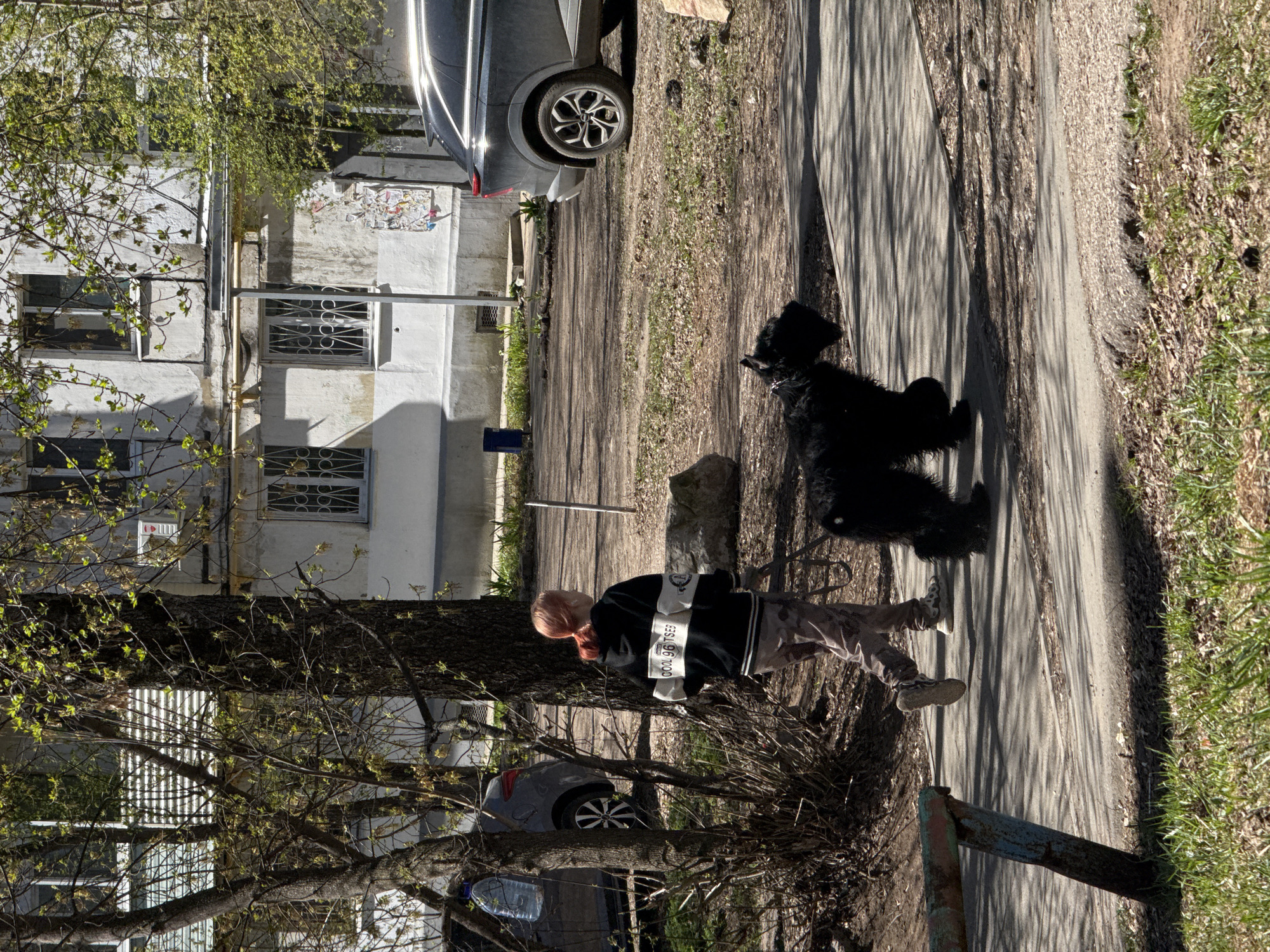 A woman walks a large black dog on a concrete path in Izhevsk, Russia. The path is bordered by grass and trees, with a building visible in the background. A car is parked on the side of the road. The woman is wearing a black jacket with white stripes and camouflage pants. The dog is large and fluffy.