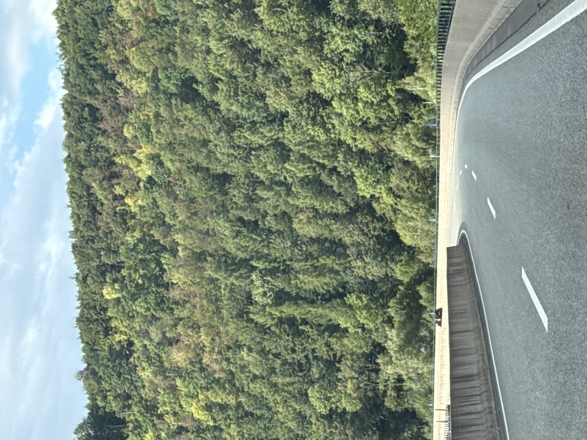 The image shows a curved highway passing by a densely forested hill. The highway is paved with asphalt and marked with white lines. Concrete barriers line the side of the road. The hill is covered with a variety of green trees, with some patches of lighter green and brown foliage, suggesting a mix of tree types and possibly the beginnings of autumn colors. The sky above is partly cloudy with patches of blue. In the distance, on the right side of the road, there is a black car parked or stopped behind the concrete barrier. The scene appears to be a scenic route, likely in a rural or mountainous area. The location is identified as the B27 highway near Bad Lauterberg im Harz, Germany, known for its picturesque landscapes and winding roads.