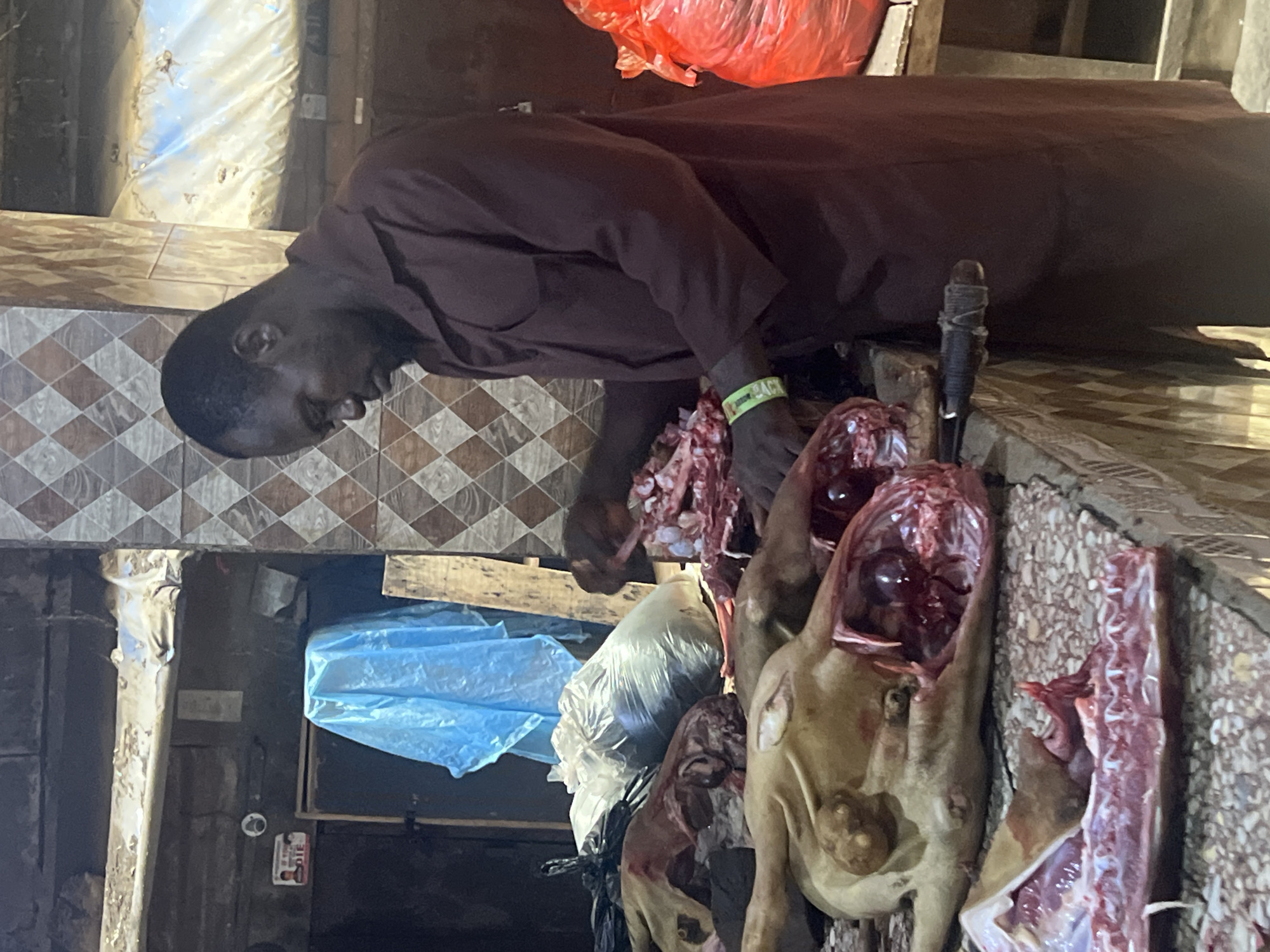 A man wearing a maroon garment works at a butcher shop in an unknown city, in an unknown location. The man is standing behind a counter with several butchered animal carcasses hanging in front of him. The animals are hanging from hooks attached to a wooden frame above the counter. The carcasses are displayed with their organs exposed. The man appears to be cutting the carcasses with a knife. There is a red plastic bag behind the man. The walls of the shop are tiled, and there are wooden boards and plastic bags visible in the background.