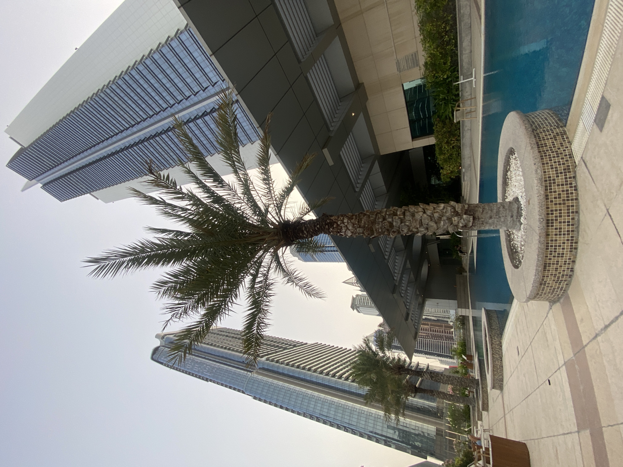 The image depicts a cityscape in Dubai, United Arab Emirates, likely taken from a high vantage point. The foreground features a swimming pool with light blue water, bordered by a mosaic-tiled feature. A palm tree is centrally positioned, its trunk near the pool and its fronds extending towards the sky. Modern architecture dominates the background, with tall glass and steel buildings reflecting the sky. The sky appears clear, indicating daylight. The image suggests a luxury or leisure setting, typical of Dubai's urban landscape.