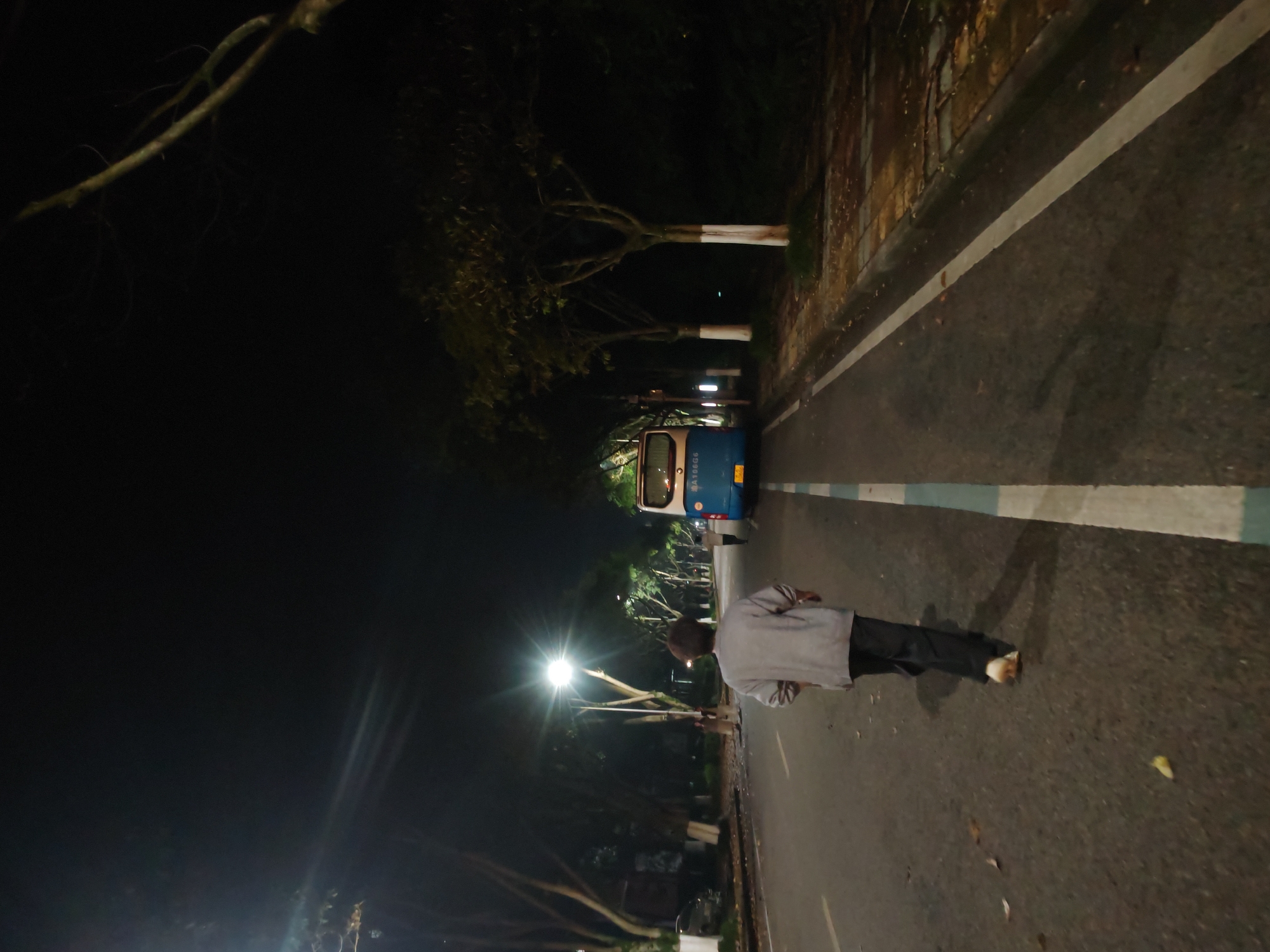 At night, a man is walking on a road in Chongqing High-tech Zone, China. The man is wearing a light-colored shirt and dark pants. A blue and white vehicle is parked ahead of him. Streetlights illuminate the area, and trees line the road. The road has white lane markings.