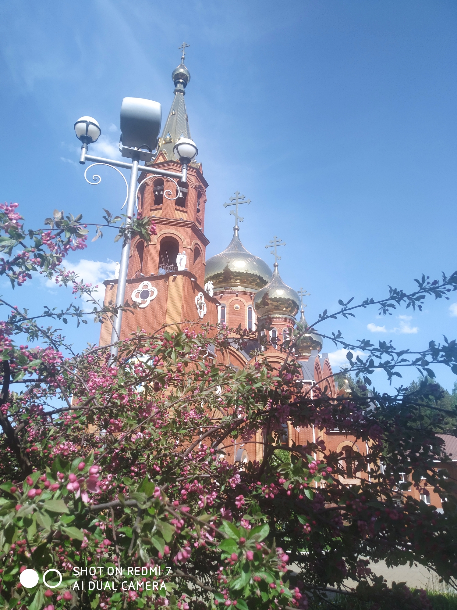The image shows the Church of the Great Martyr George the Victorious in the city of Chaikovsky, Perm Krai, Russia. The church is built of red brick, with a bell tower and golden domes topped with crosses. The sky is blue with some white clouds. A blossoming tree with pink flowers is in the foreground, partially obscuring the view of the church. A modern street light stands to the left of the bell tower. A building sits behind the church. The image was taken with a Redmi 7 AI Dual Camera.