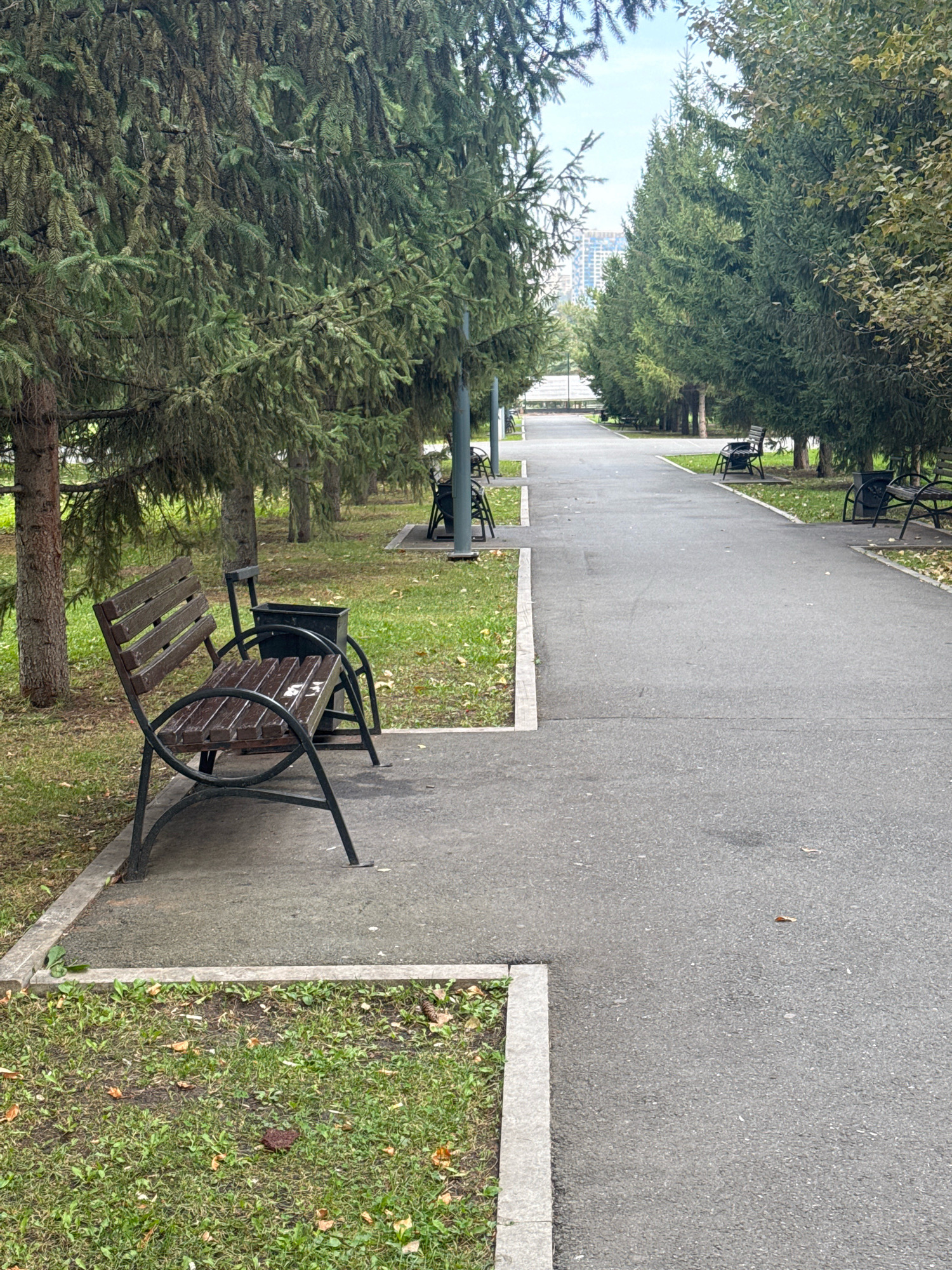 A paved pathway winds through a park in Ufa, Russia, lined with tall evergreen trees on one side and a row of deciduous trees on the other. Benches are strategically placed along the pathway, some occupied by unseen individuals, indicating a public space. The ground is a mix of asphalt and grass, with fallen leaves suggesting an autumn setting. In the background, a building peeks above the trees, hinting at the park's urban proximity. The sky is overcast, casting a soft, diffused light over the scene.