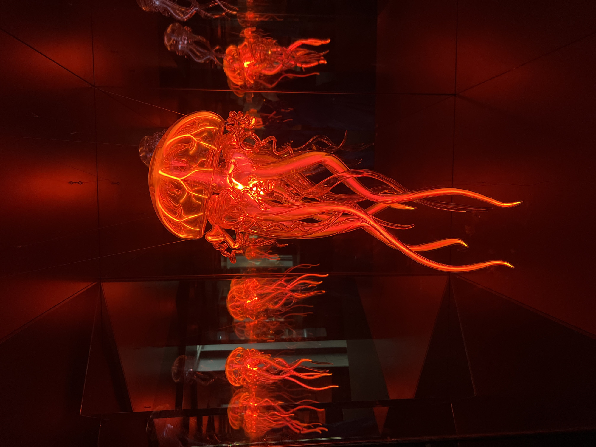 A close-up shot captures a cluster of illuminated, red glass jellyfish suspended in a dimly lit, mirrored room. The jellyfish, appearing to be sculptures, are rendered in a vibrant crimson hue with intricate details in their translucent bodies and flowing tentacles. Their forms are amplified by the reflective surfaces of the surrounding walls, creating a kaleidoscopic effect that suggests an immersive art installation. The overall ambiance is one of ethereal beauty and striking visual depth, characteristic of a modern art exhibition. It is not possible to determine the location within Warsaw, Poland from the image.