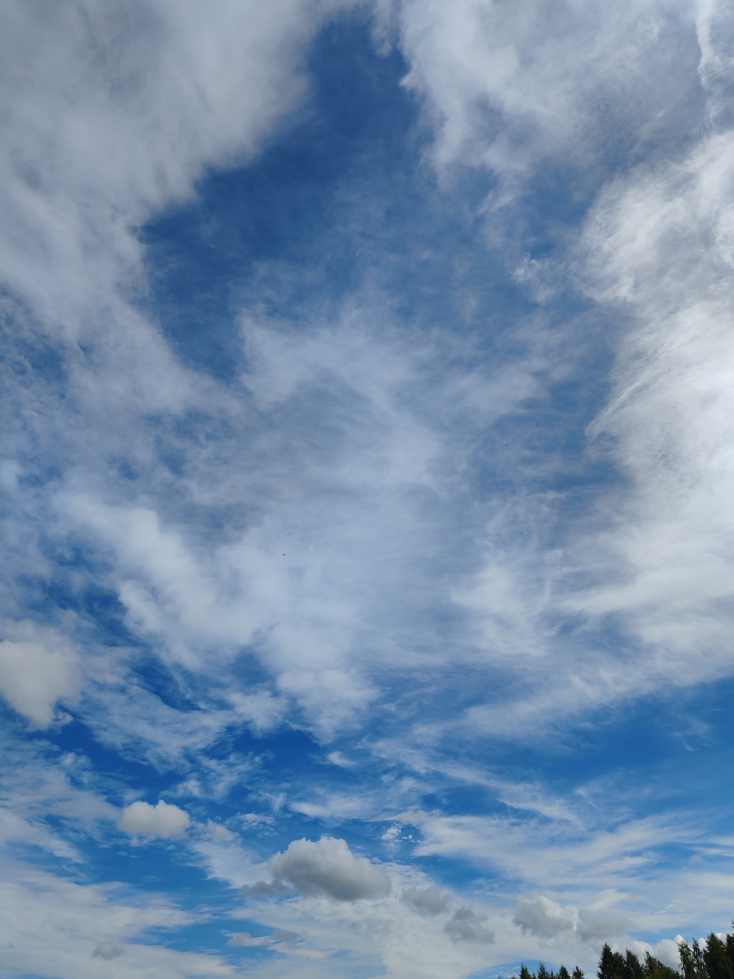 A bright blue sky is filled with wispy white clouds and some denser, puffier clouds. The bottom of the image shows the tops of dark green coniferous trees, suggesting a natural or forested area, possibly on the outskirts of a city like Chukhlom, Russia. There are no people or discernible man-made objects in the frame.