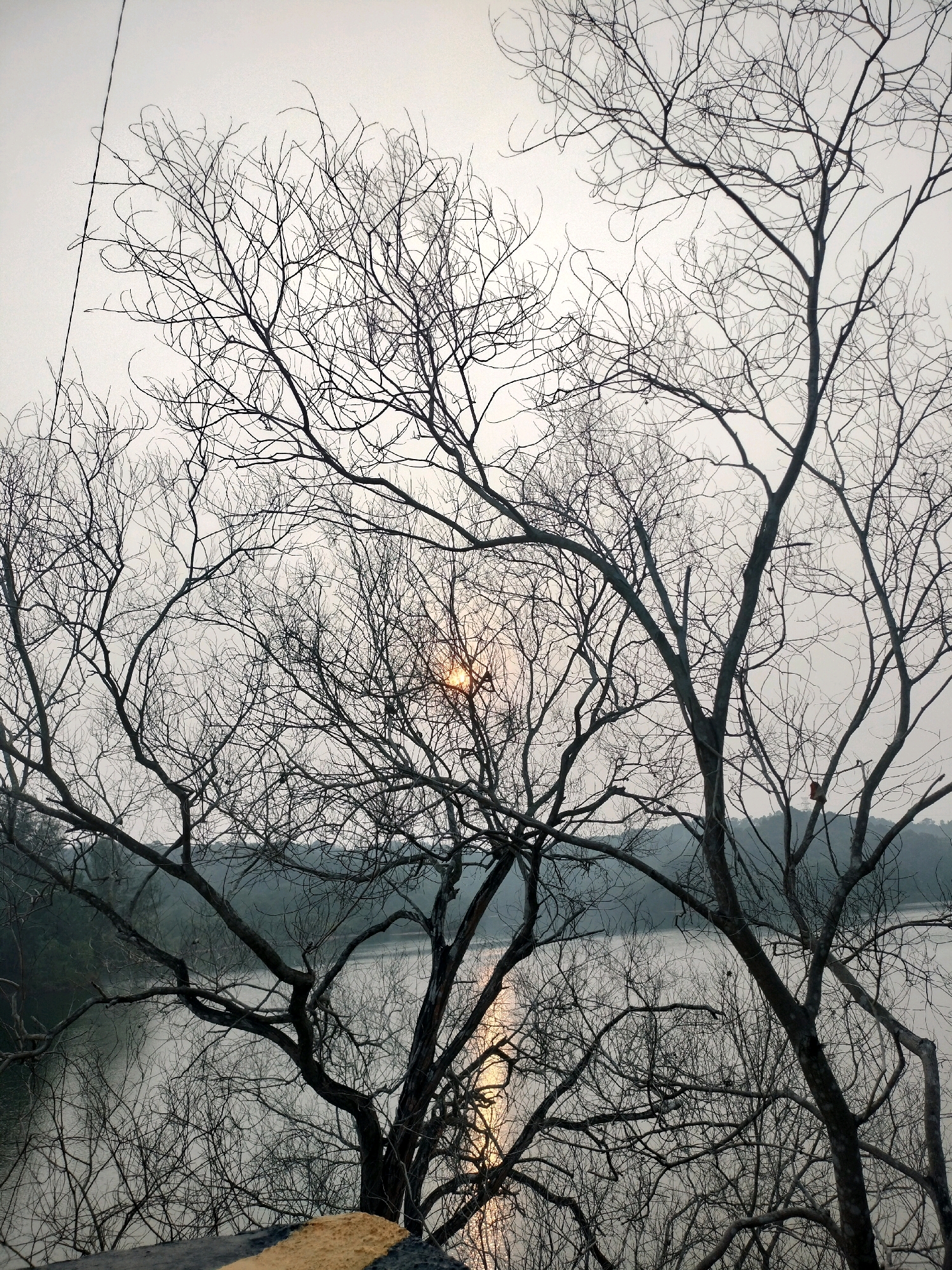This is a photograph of a body of water, likely a reservoir or lake, seen through the silhouette of bare tree branches against a hazy sky. The sun is visible as a bright orb peeking through the branches, casting a reflection on the water. The foreground shows the edge of a road or pathway with a yellow and black painted line. The scene appears to be a natural setting with some man-made infrastructure visible at the very bottom. Given the visual cues and common knowledge of Batam, Indonesia, this scene is likely from the Duriangkang Reservoir, a prominent water source in Batam.