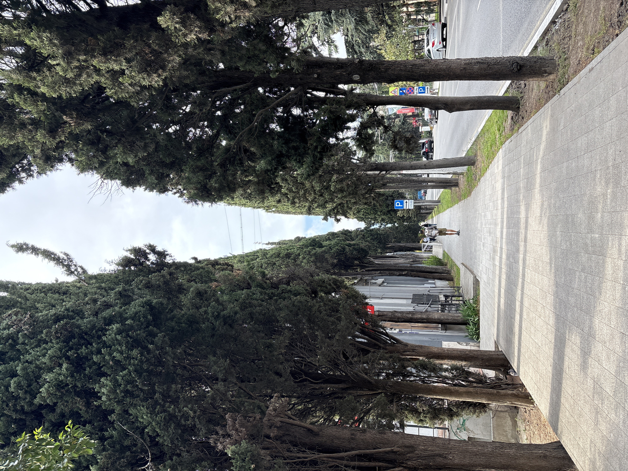 An eye-level, vertical shot depicts a city street in Ялта, Ukraine. The scene is dominated by a long, grey paved sidewalk stretching into the distance, flanked on both sides by tall, mature trees with dense, dark green foliage. These trees create a tunnel-like effect, partially obscuring the sky above.
On the right of the sidewalk, a narrow strip of green grass separates it from a two-lane asphalt road. Several cars and a truck can be seen on the road in the distance. There are also street signs visible, including parking signs with the letter "P".
On the left side of the sidewalk, there are buildings, some of which appear to be low-rise and made of concrete. In the mid-ground, a couple of people are walking along the sidewalk.