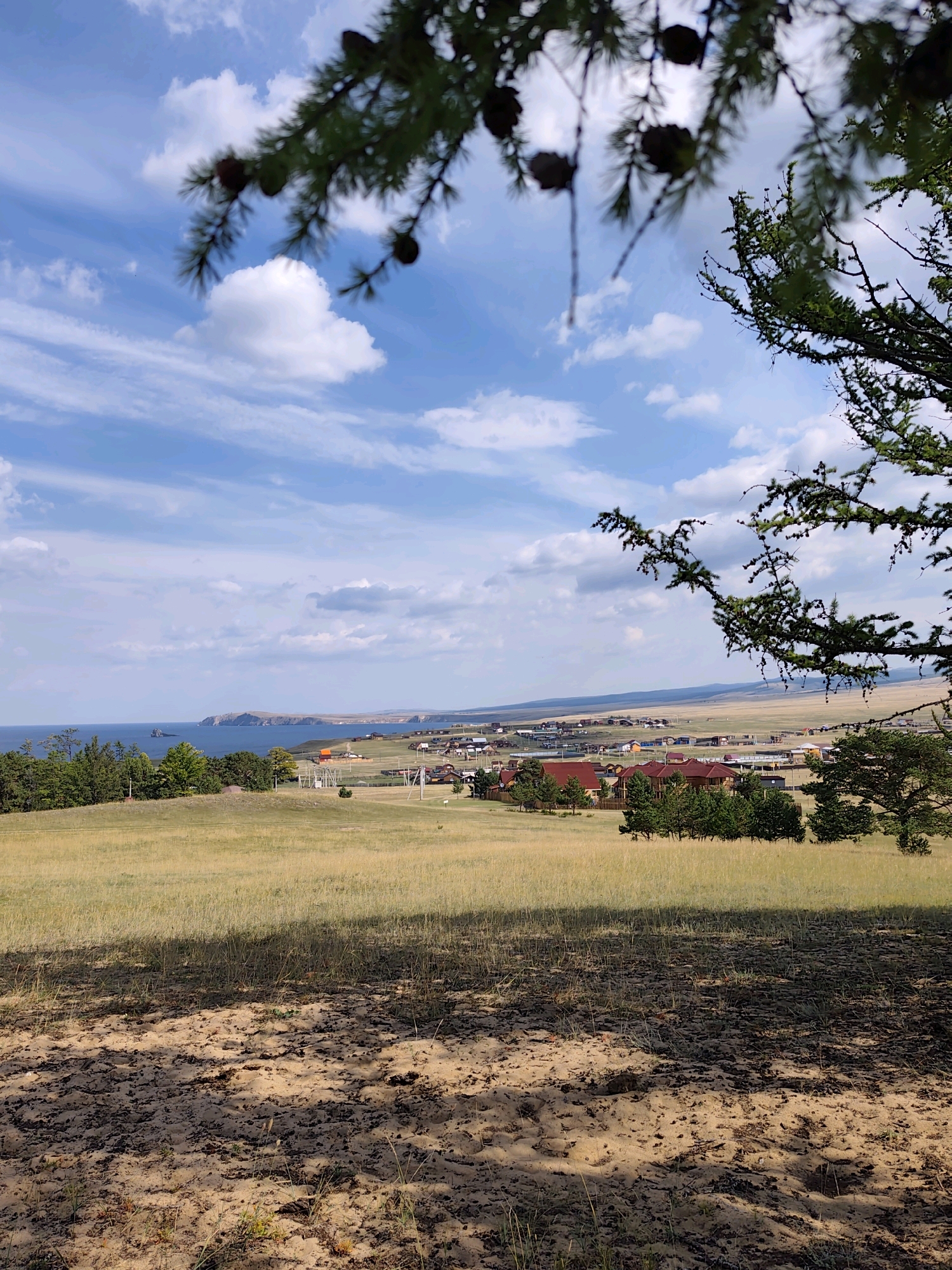 The image captures a scenic view of the village of Kharantsy, Russia, situated on the shores of Lake Baikal. In the foreground, pine branches with cones hang down from the top, obscuring parts of the sky. The sky is a vibrant blue, dotted with fluffy white clouds. Below the sky, a vast, undulating field of dry, golden grass stretches towards the village. The village itself consists of numerous houses with red-tiled roofs, nestled amongst green trees. Beyond the village, the expansive blue waters of Lake Baikal meet a distant, light-brown coastline. The overall atmosphere is one of natural beauty and tranquility.