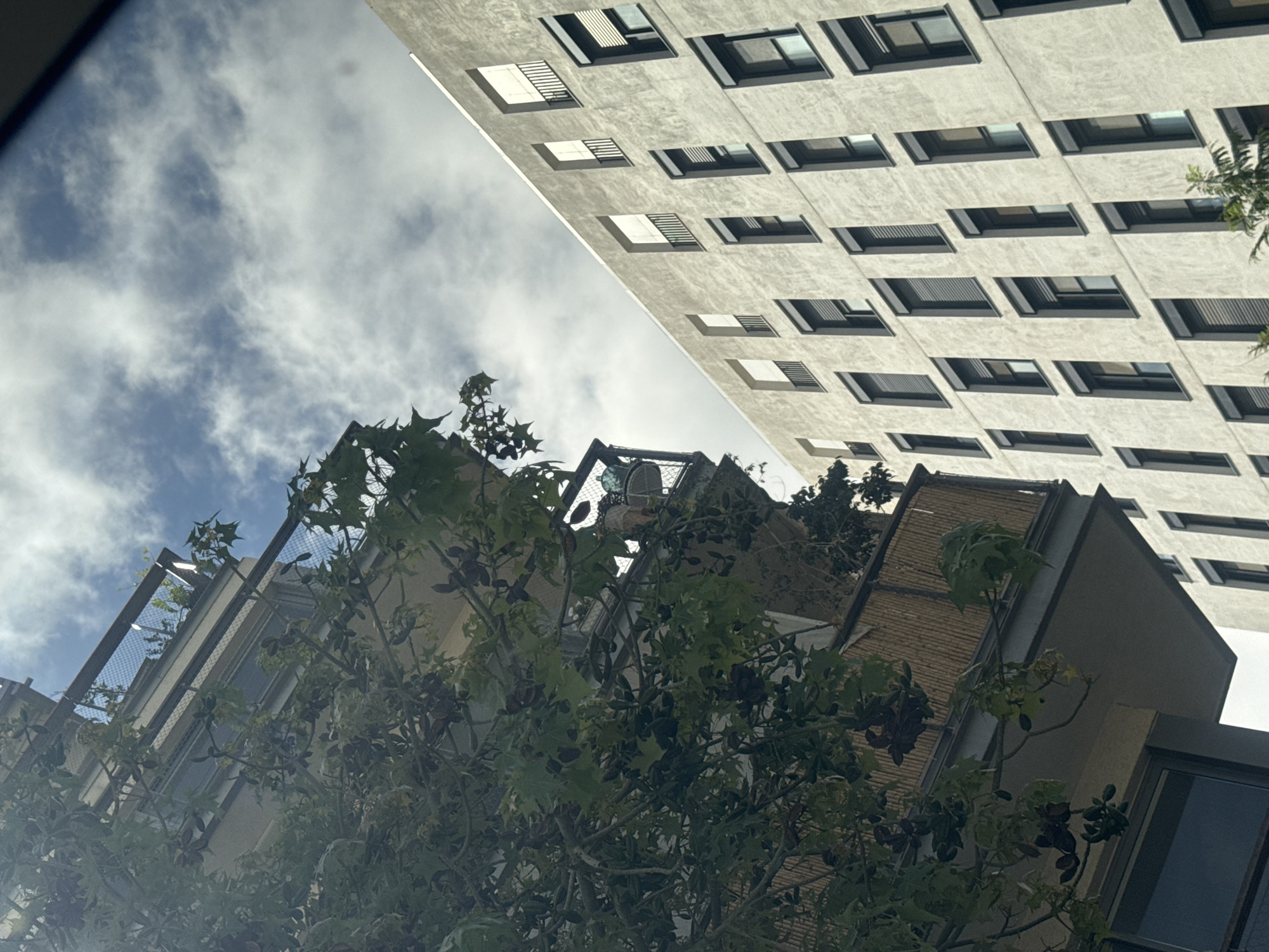 The image is a low-angle shot of buildings in Tel-Aviv, Israel, partially obscured by trees.
The top right features a high-rise building with a repetitive pattern of dark-framed windows set into a light-colored facade.
Below the high-rise is a shorter building with a mix of materials. The facade includes sections of exposed brick, a light-colored wall, and windows. Some sections are covered with a slatted material. A metal framework is visible on top of the building.
A tree with green foliage is in the foreground, partially obscuring the view of the buildings. The sky is visible in patches between the buildings, showing a mix of blue sky and white clouds.