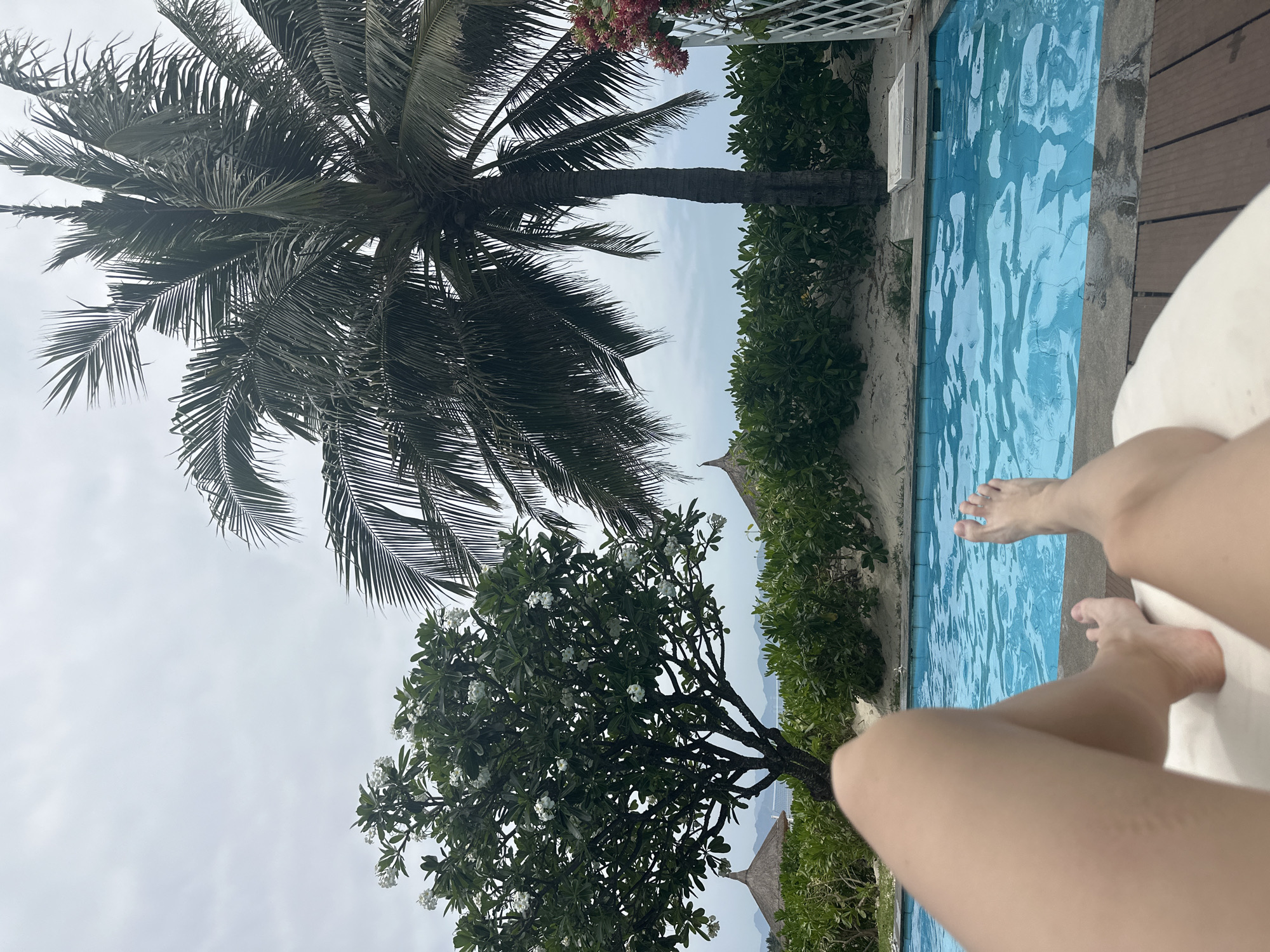 The image captures a serene tropical poolside scene from a first-person perspective. In the immediate foreground, a person's legs and bare feet are visible, resting on a white lounge chair, with a wooden deck extending to the right. The viewpoint looks down into a sparkling blue swimming pool, its surface gently rippled by water movement.
Beyond the pool, a lush tropical landscape unfolds under an overcast sky. A tall palm tree with dense, dark green fronds stands prominently on the left side of the frame. To its right, a bushy tree adorned with numerous white blossoms, likely a frangipani, adds a touch of brightness. Dense green foliage and bushes line the far edge of the pool, bordering sandy ground. In the background, a small thatched roof structure can be glimpsed amidst the greenery, with the soft outlines of distant hills or landmasses beneath the cloudy horizon. A white lattice structure, partially covered with reddish-pink flowers, is visible in the upper right corner.
The overall scene conveys a strong sense of relaxation and leisure, typical of a vacation or resort setting, with the person enjoying a moment by the pool on what appears to be a cloudy daytime. No discernible text is visible in the image.