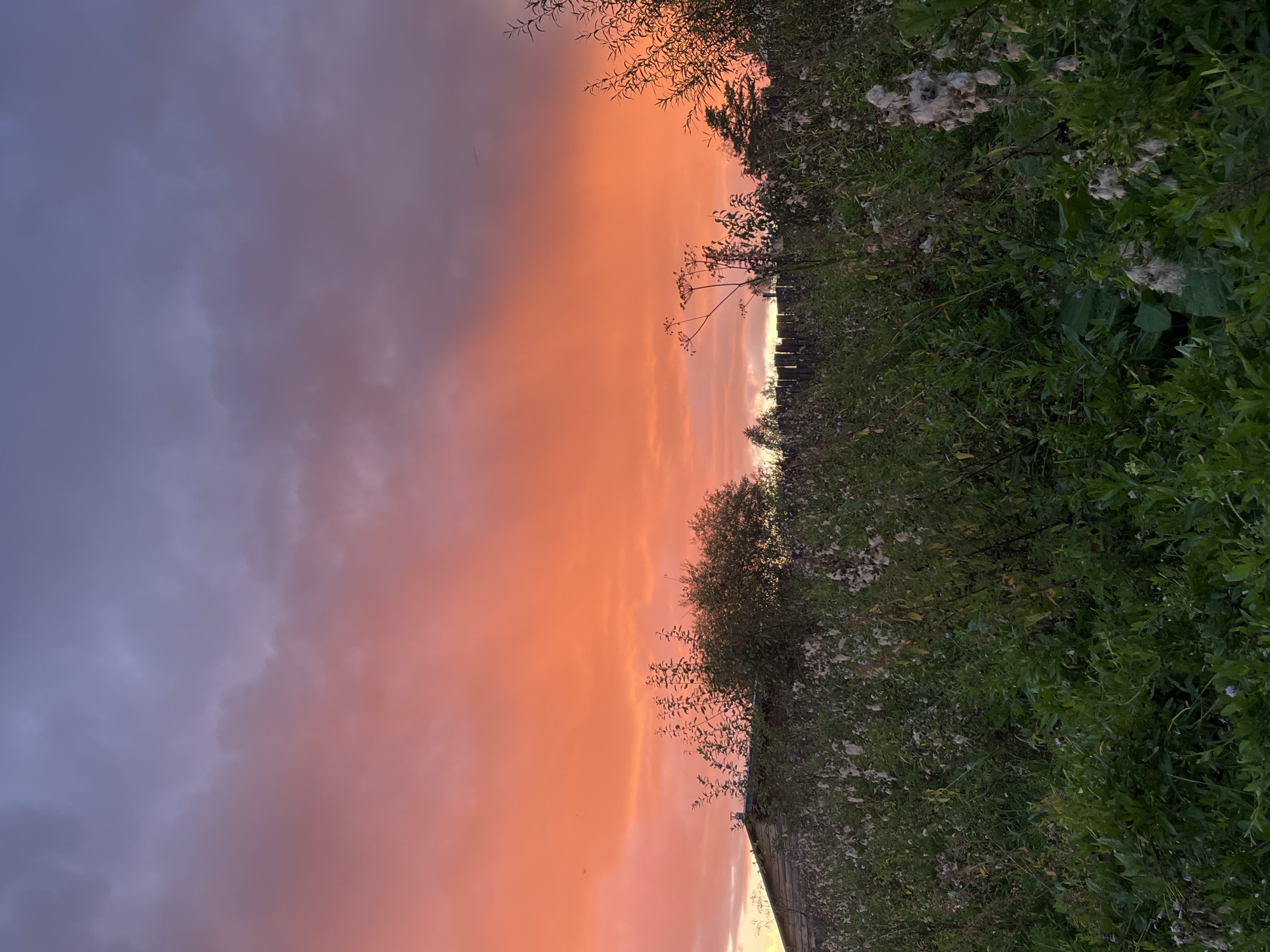 A rural scene is depicted with a vibrant sunset. The sky displays a dramatic gradient of colors, transitioning from a deep purple and gray at the top to a brilliant orange and red closer to the horizon. Below the sky, a dense field of green vegetation, including tall grasses and wildflowers, occupies the foreground and middle ground. In the middle distance, a rustic wooden structure, possibly a shed or small house, is visible, partially obscured by trees and foliage. A wooden fence runs along the horizon behind the vegetation. The overall impression is one of natural beauty and tranquility. This scene is located in Nizhny Tagil, Russia.