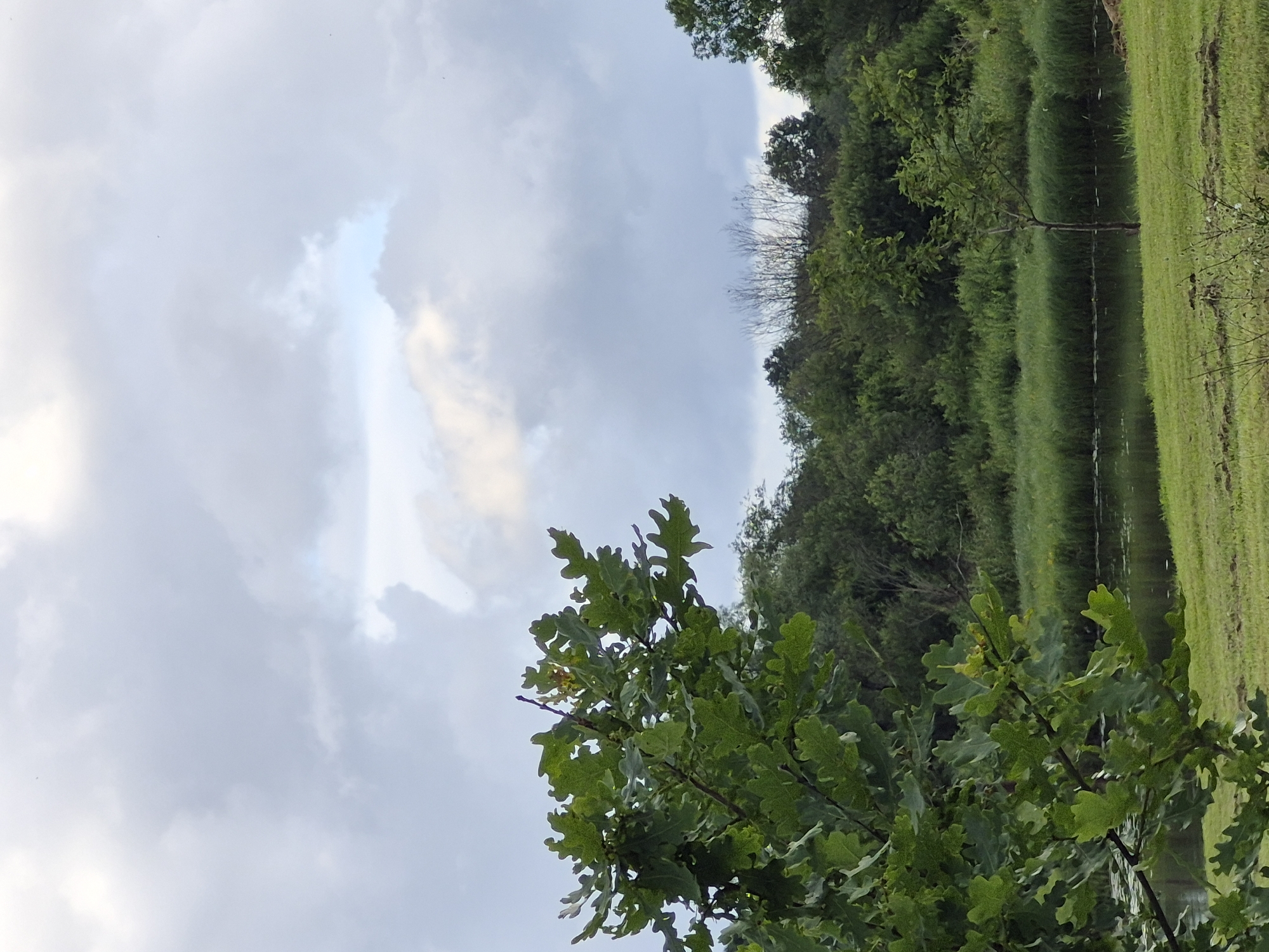 The image shows a cloudy sky above a natural landscape. In the foreground, a large oak tree with green leaves is visible on the left side. The middle ground features a body of water, likely a river or lake, with dense green vegetation along its banks. In the background, a line of trees forms a dense forest. The overall scene is one of tranquil nature, possibly a park or rural area. No people or specific landmarks are identifiable to pinpoint a precise location within Sooblase, Estonia. The environment suggests an outdoor setting with a focus on natural elements.