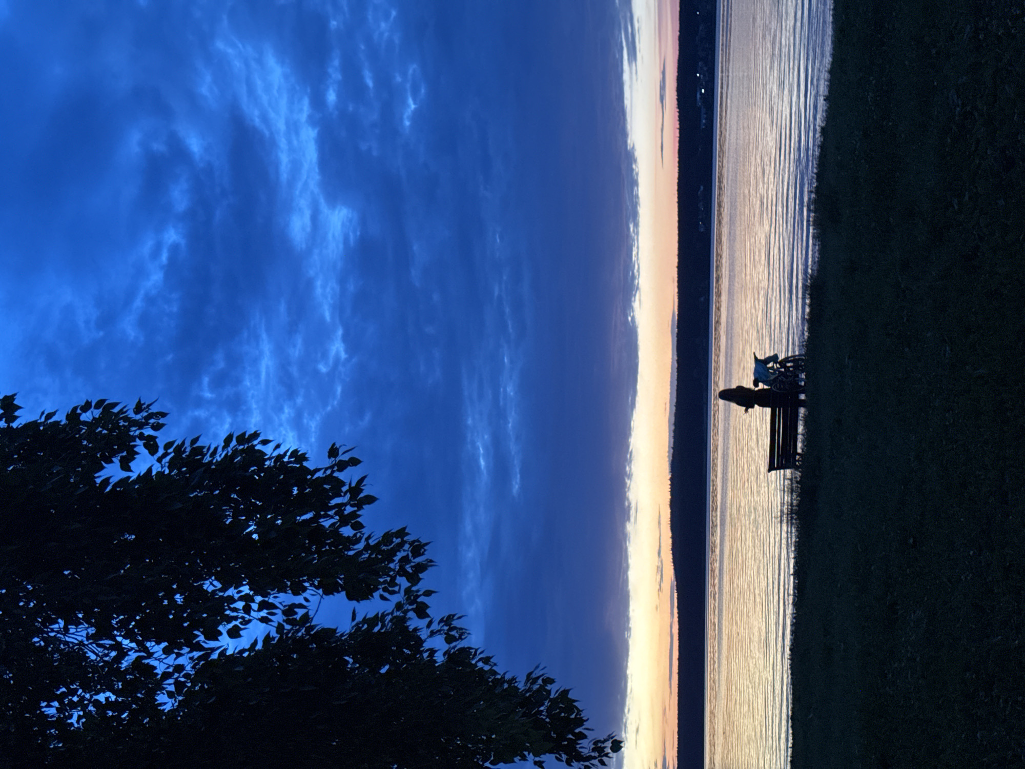 The image depicts a serene twilight scene by a body of water, likely Lake Votkinsk, in Votkinsk, Russia. In the foreground, a dark silhouette of tree branches partially frames the view from the left. The middle ground features a grassy embankment leading to the water's edge, where a solitary figure stands beside a bicycle and a park bench. The figure is silhouetted, their gender and age indistinguishable, and they appear to be contemplating the water. The water itself is calm, reflecting the soft hues of the fading sunset and the deep blue of the twilight sky. The horizon is marked by a distant, dark treeline and a sliver of land. The sky is a dramatic canvas of deep blues and purples, with scattered clouds catching the last remnants of daylight. The overall impression is one of quiet solitude and natural beauty.