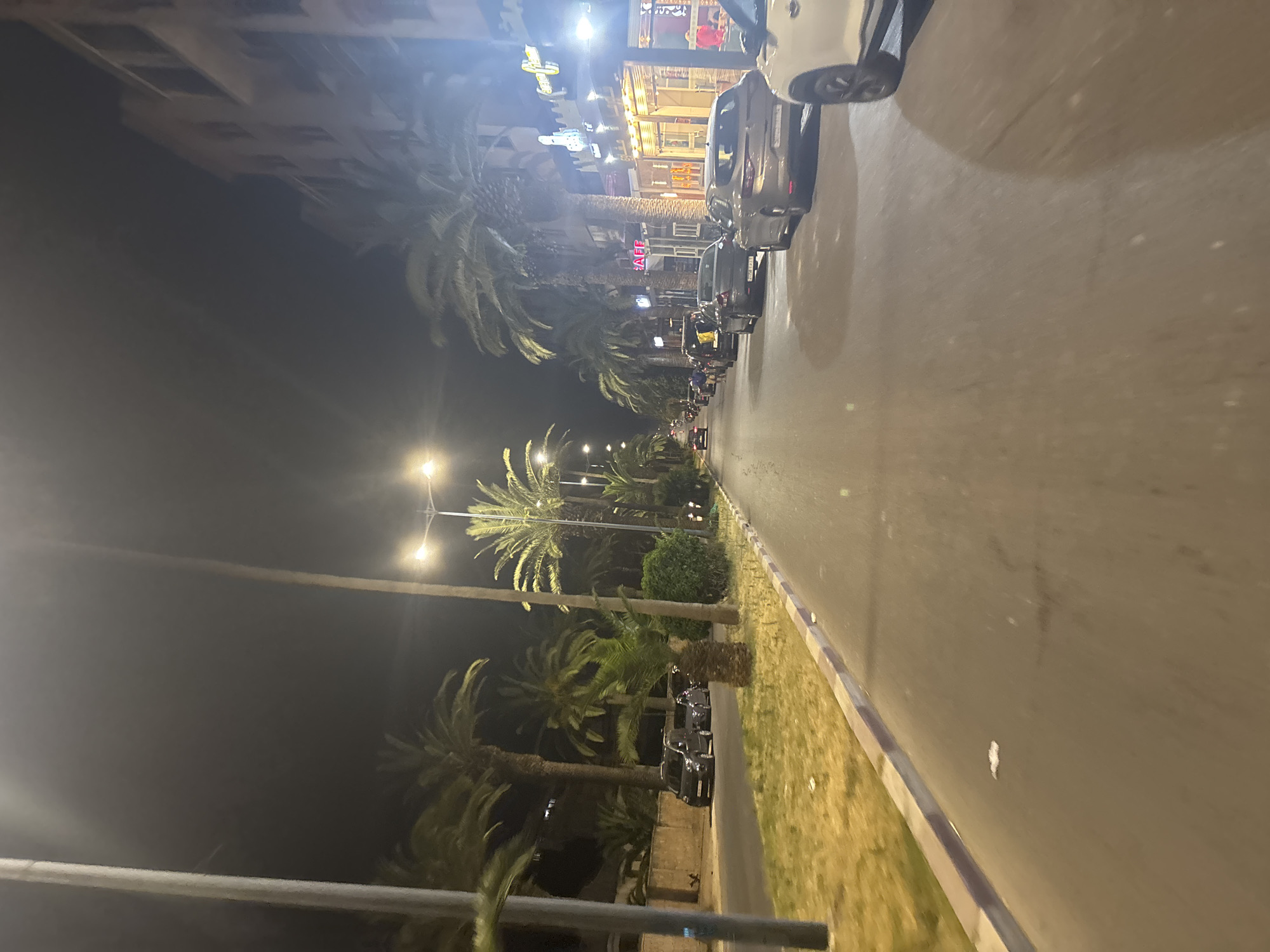 An image captured at night on a street lined with palm trees in an unknown city. The road is paved and there are several cars parked on the side and a few driving on the street. Buildings with lit windows are visible on the right side of the street, some with signs that read "CAFE." Streetlights illuminate the scene, casting a warm glow on the surroundings. The left side of the street features a grassy median with more palm trees and a low wall. The overall atmosphere is that of a vibrant urban setting at night.