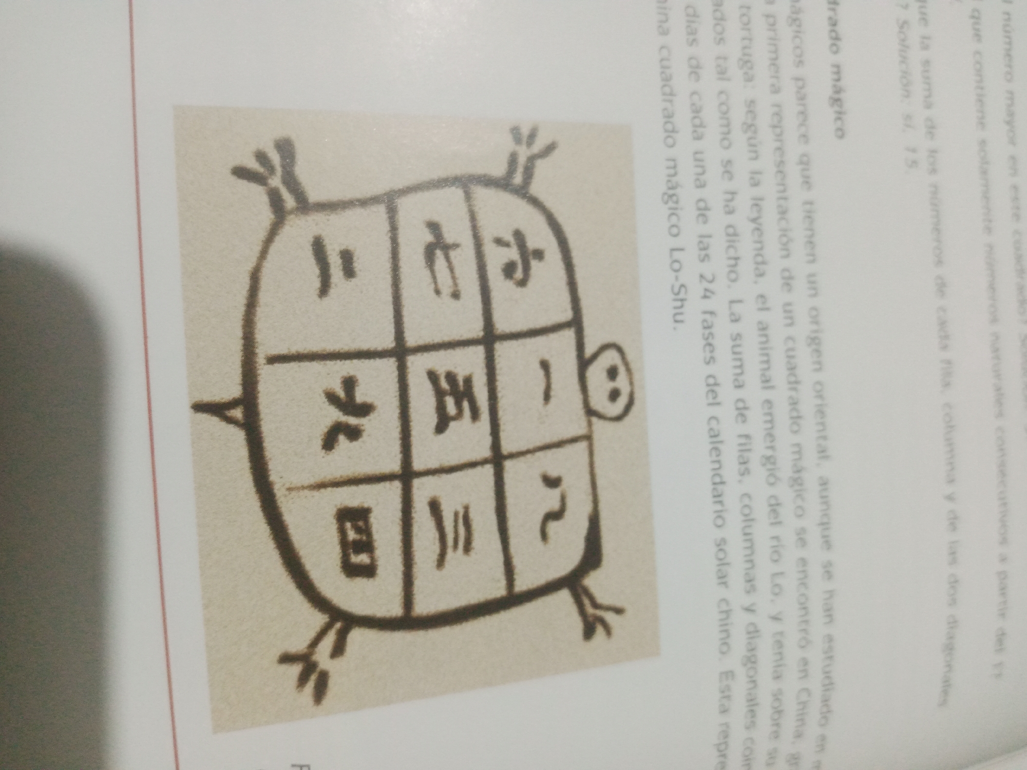 The image is a photograph of a page from a book or document. The page contains text in Spanish and an illustration of a turtle with a grid on its shell. The grid contains Chinese characters. The text discusses the origin of a magic square, its connection to the Lo Shu square, and its representation of the sun. The image does not contain any information about the city of Santa Ana, Venezuela, nor does it depict any people, actions, or interactions. It is a still image of printed material.
