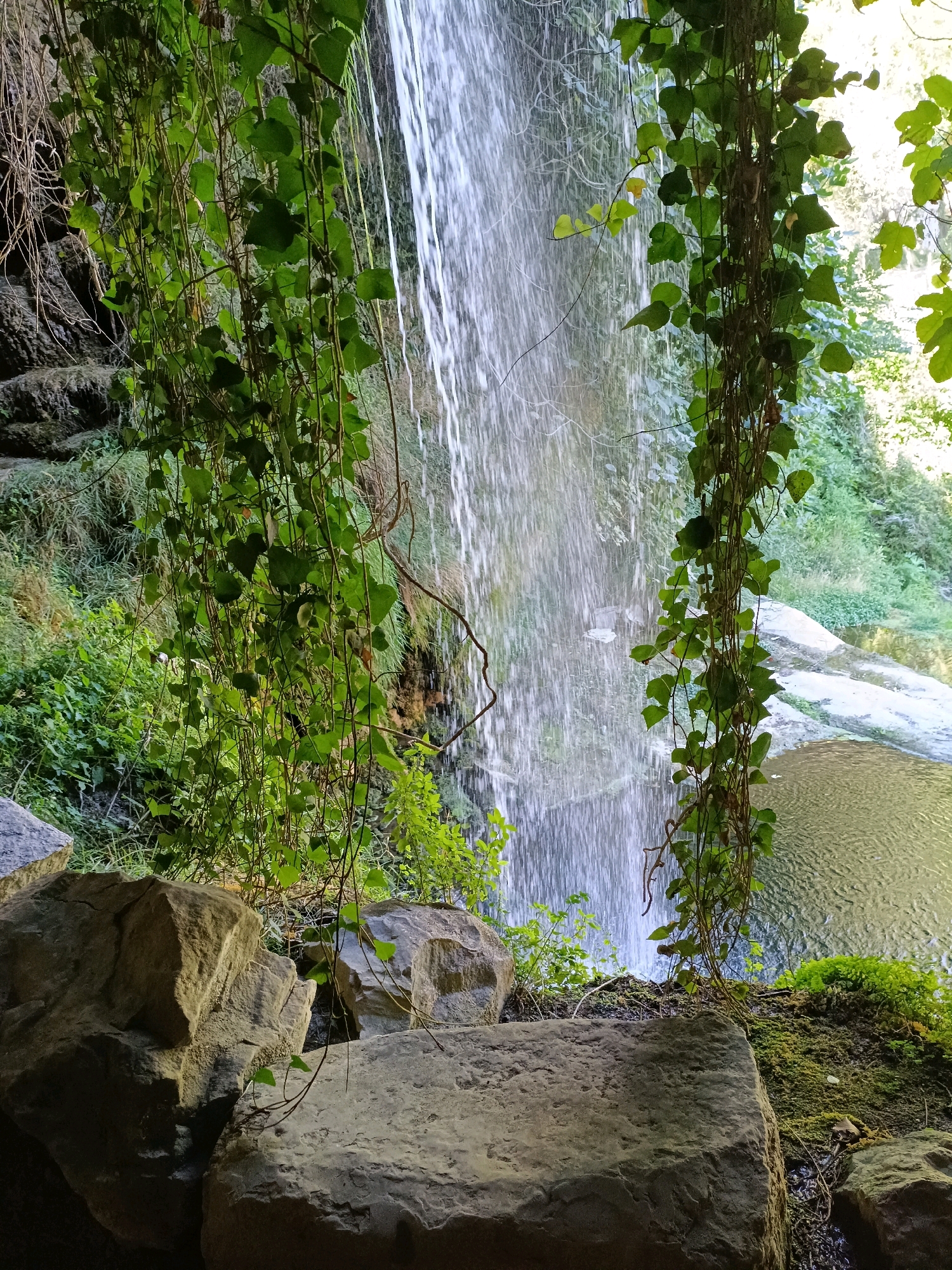 The image shows a waterfall cascading down a rocky cliff face, partially obscured by lush green ivy vines. The water falls into a pool of clear water, with moss and smaller plants growing around the edges. Large rocks are scattered in the foreground, with their surfaces textured and weathered. The overall scene is one of natural beauty and tranquility, suggesting a secluded natural setting. This location is part of the Parc Natural de Sant Llorenç del Munt i l'Obac, near the town of Sant Quirze Safaja, Spain. There are no people or animals visible in the image.