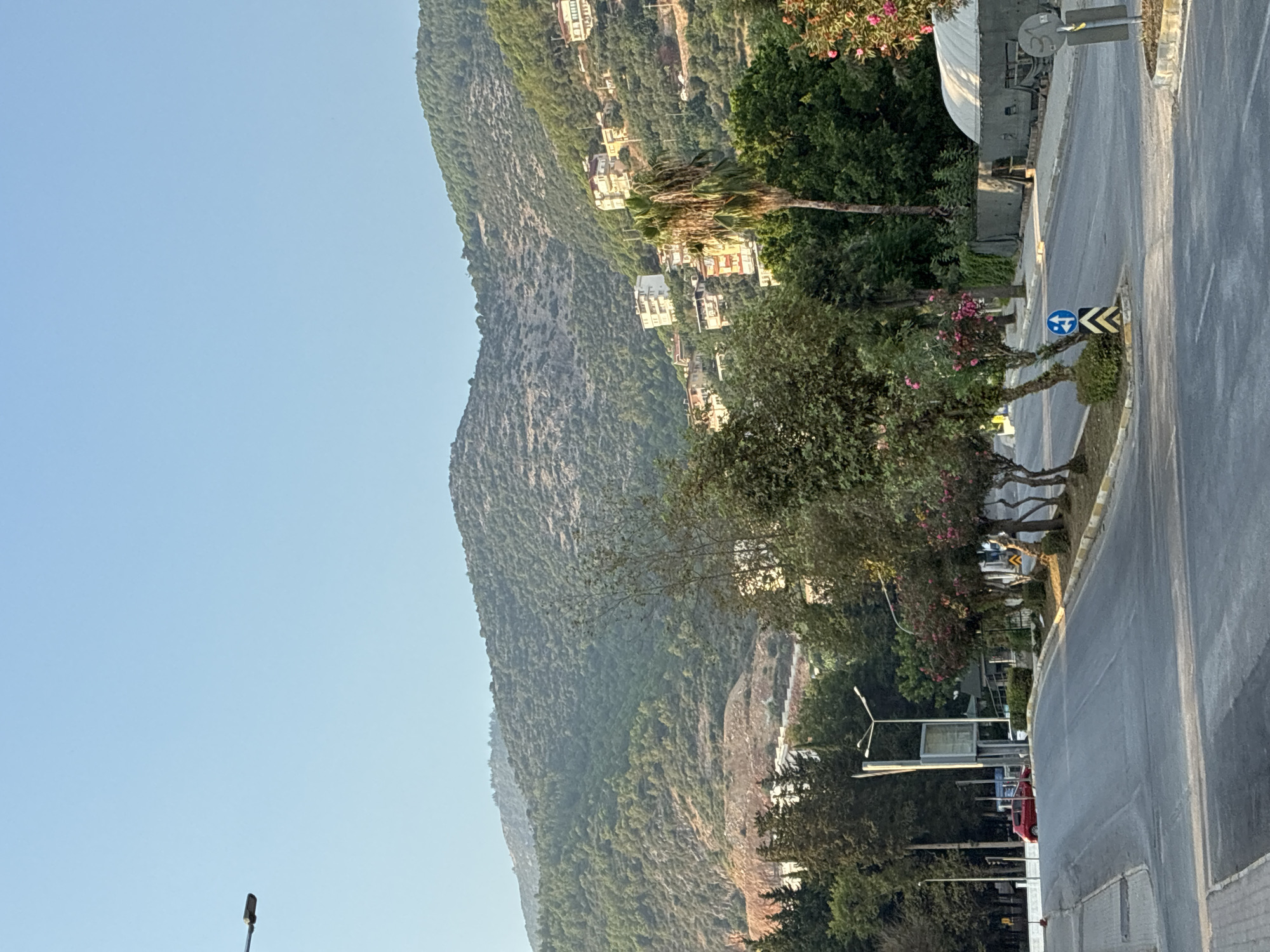 The image depicts a street scene in Alanya, Turkey, with a focus on the road, surrounding vegetation, and the backdrop of a densely wooded hillside with scattered buildings. The sky is clear and blue.
In the foreground, an asphalt road curves gently. The road is marked with white and yellow lines. A crosswalk is visible on the left side of the road. A red car is parked on the left side of the road in the distance.
To the right of the road, there are several trees, some with pink flowers, and a palm tree. A traffic sign indicating mandatory direction and a chevron sign are present. Beyond the trees, a large, camouflaged structure, possibly military, is visible.
The middle ground is dominated by lush green trees and foliage. Behind the trees, the hillside is covered with a dense forest and interspersed with houses and buildings, many of which are white or light-colored. The houses are built on the slopes of the hill, suggesting a residential area integrated into the natural landscape.
The background features the expansive, verdant hillside, which rises steeply. The slopes are covered with trees and appear to be terraced in some areas. The overall impression is one of a city nestled amongst natural beauty, with a clear division between the urban elements and the prominent natural environment. The lighting suggests it is late afternoon or early morning, with the sun casting shadows and highlighting the textures of the landscape.