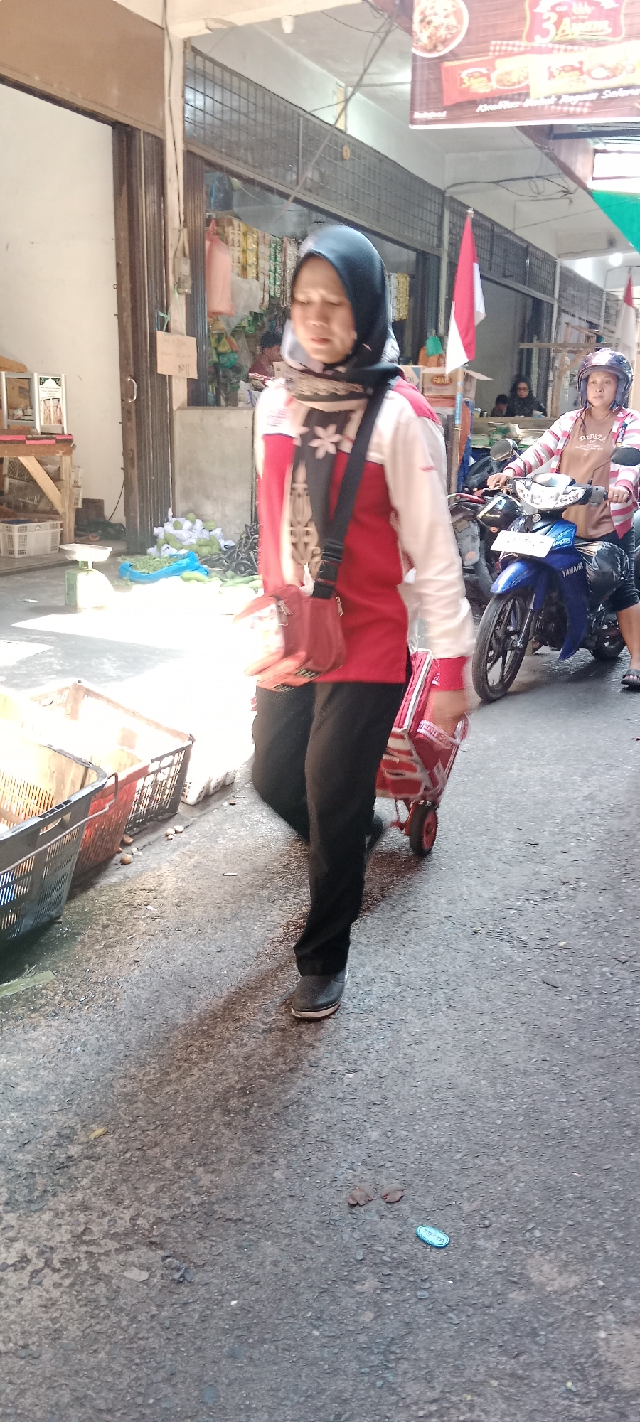 An Indonesian woman wearing a black hijab and a red and white jacket walks on a street in Tanjung Pinang, Indonesia. She carries a red shoulder bag and pulls a red shopping cart with two wheels. Behind her, a woman on a blue motorcycle wears a helmet and a striped pink and white shirt. The street is paved with asphalt and there are several open-air market stalls on the left side of the image. Some of the stalls contain baskets of produce, including green vegetables. A red and white Indonesian flag is visible in the background.