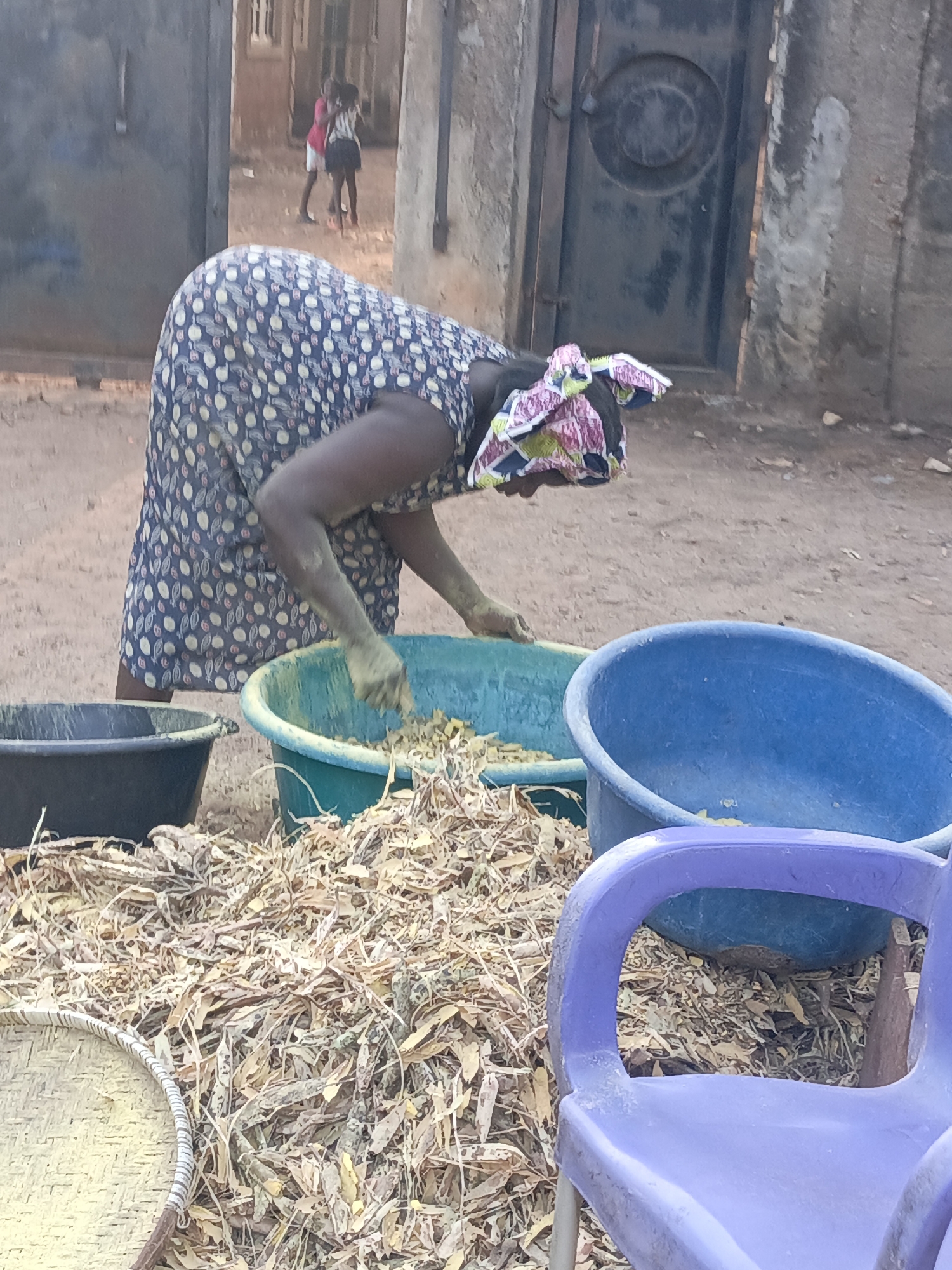 A woman in Akwanga, Nigeria, stands bent over several plastic basins filled with dried leaves and food. She wears a patterned dress and headscarf. A black basin sits to her left. To the right, there's a blue basin, partly obscured by a purple plastic chair. In the background, a dark metal door is visible, and further back, two children stand in an opening between buildings. The ground is dry and sandy.