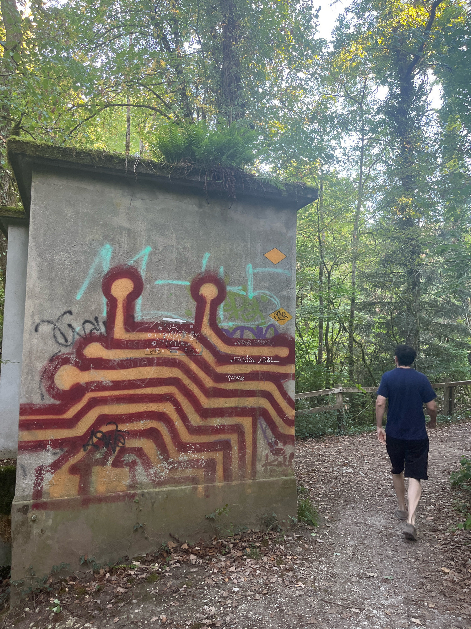 In Chevilly, Switzerland, a concrete structure, possibly an electrical substation, stands partially covered in graffiti. The graffiti features a stylized, circuit-board-like design in red and yellow, accompanied by other tags and symbols. Green ferns grow on top of the structure. A man in a dark blue t-shirt and black shorts is jogging on a dirt path next to the structure. The path is lined with trees and foliage, suggesting a natural or park-like setting. The overall scene is urban decay meeting nature, with the man actively engaged in a recreational activity.