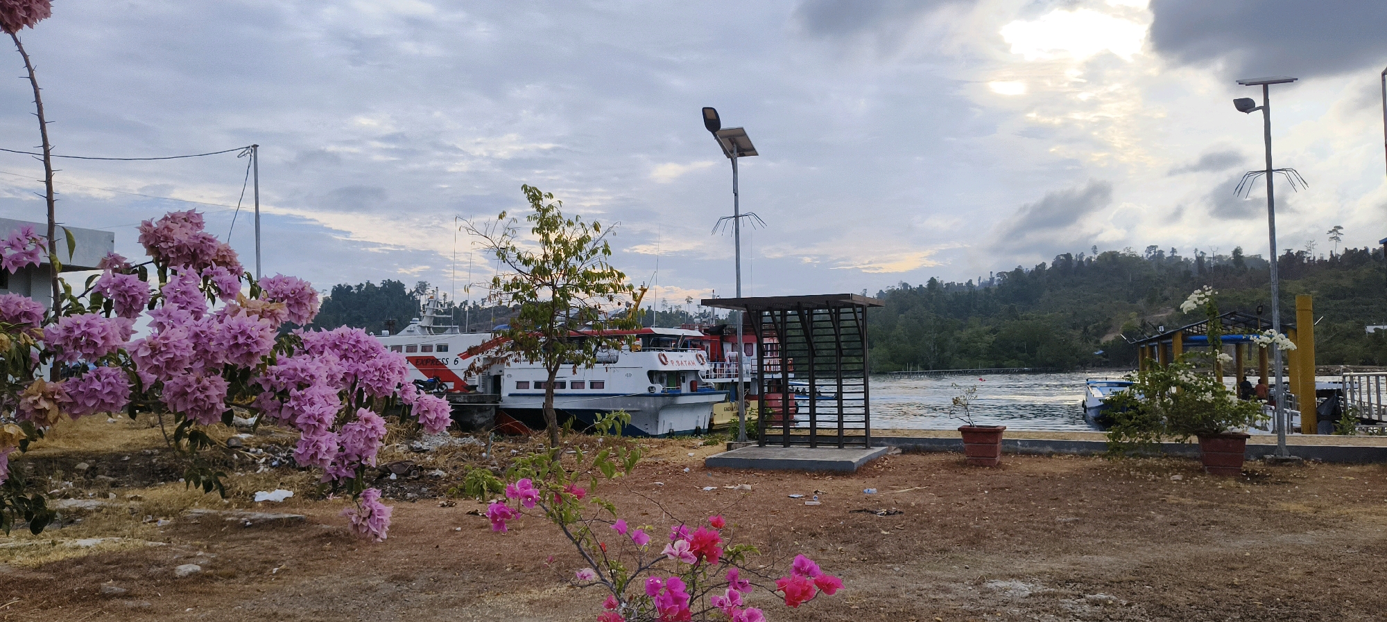 This is a wide, low-angle, eye-level shot of the Waisai Port in Waisai, Indonesia. The foreground is dominated by a lush display of bougainvillea flowers in shades of pink and magenta, cascading down from branches. Beyond the flowers, the ground is dry and covered with sparse brown vegetation and some litter.
In the mid-ground, two large ferries are docked. The ferry on the left has "EXPRESS 6" written on its side in white lettering with a red stripe. The ferry on the right has "P. BATAM" written on its side. Both ferries are predominantly white with red accents. To the right of the ferries, a small, open-air shelter with a dark-colored roof and slatted sides stands on a concrete base. A tall, slender pole with a solar panel and a light fixture stands next to the shelter. A single, small tree with green leaves grows between the shelter and the ferry. Further to the right, another similar shelter with yellow pillars and a dark roof is visible, with a potted plant containing white flowers in front of it.
The background features a calm body of water, likely a bay or strait, with gentle ripples on its surface. Beyond the water, a dense, green, tree-covered hillside rises, indicative of the tropical landscape surrounding Waisai. The sky is overcast with dramatic clouds, allowing streaks of sunlight to break through, suggesting either early morning or late afternoon. The overall impression is one of a functional port area set against a beautiful natural backdrop.