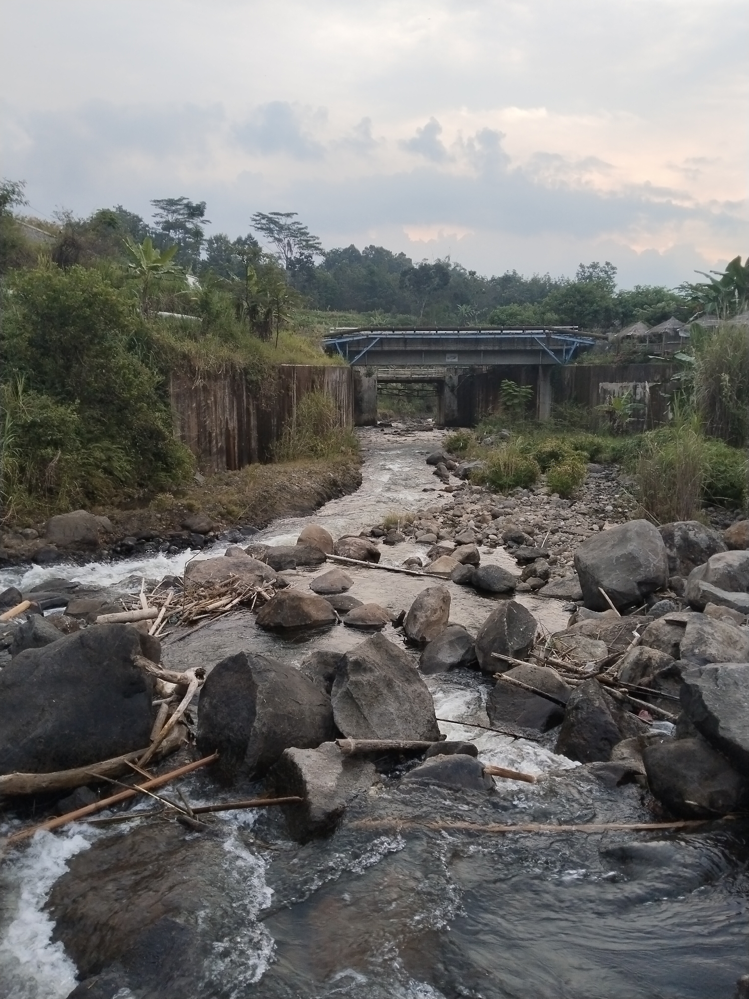The image captures a stream flowing through a rocky riverbed in Ganten, Indonesia. The water is clear and moving swiftly, with rapids formed by the rocks and debris. In the foreground, there are numerous large, dark grey rocks, interspersed with fallen branches and small pieces of wood. The riverbanks are lined with green vegetation, including grass and some trees. A concrete bridge with blue railings spans the stream in the mid-ground. Beyond the bridge, there is more lush greenery, suggesting a forested area. The sky is overcast with grey clouds. The overall impression is a natural, slightly wild landscape within a rural or suburban setting.