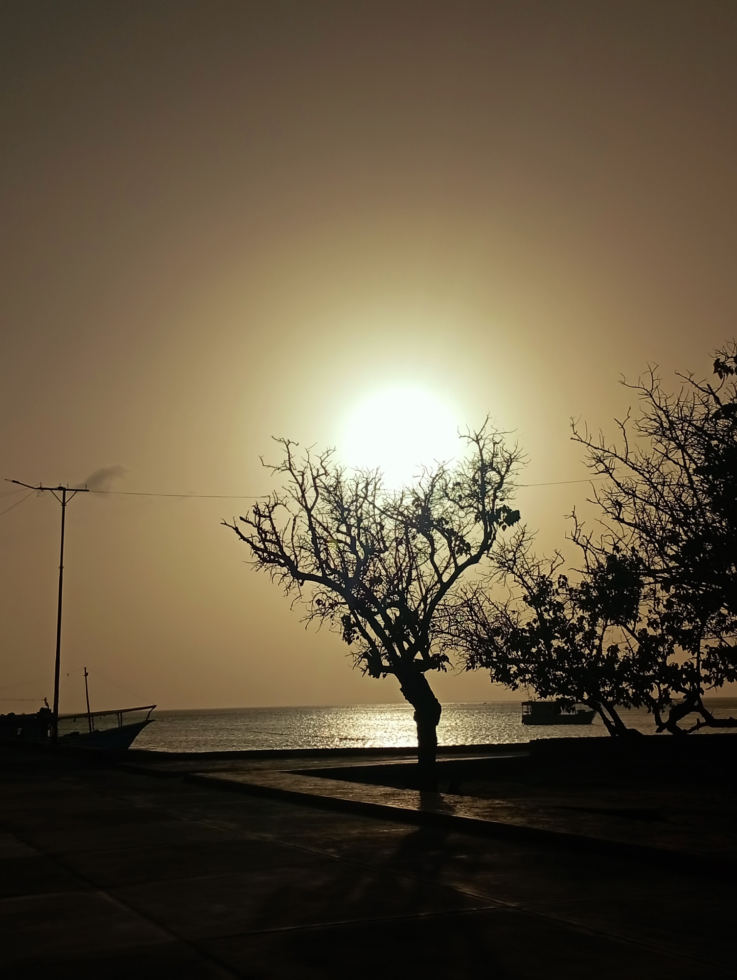 This image depicts a serene coastal landscape at either sunrise or sunset, likely in Juan Griego, Venezuela, as indicated by the context. The dominant subject is the intensely bright sun, positioned high in the upper center, which serves as a powerful light source, backlighting the entire scene.
The strong backlighting renders most foreground elements in stark silhouette. Prominently featured are several trees along the waterfront; a central, gnarled tree with intricate, bare branches stands out against the sun's glow, while other trees with more foliage appear to its right.
Below the horizon, a body of water, presumably the sea, shimmers brightly, reflecting the sun's light in a radiant path. Along the left side of the frame, a utility pole or lamppost stands tall, with wires extending across. Near the pole and the water's edge, the silhouette of a boat, possibly docked, is visible. Another smaller boat can be faintly seen further out on the water to the right. The immediate foreground consists of a paved or concrete surface, heavily shadowed, suggesting a promenade or waterfront road. A faint, dark plume, possibly smoke or a small cloud, is visible near the utility pole.
The time of day is clearly indicated as either dawn or dusk by the low sun and the resulting silhouetted forms. The sky and water are bathed in warm, golden-brown and sepia tones, creating a hazy, atmospheric effect that diffuses the sunlight and lends a tranquil mood to the scene. There are no discernible human figures or visible text in the image.