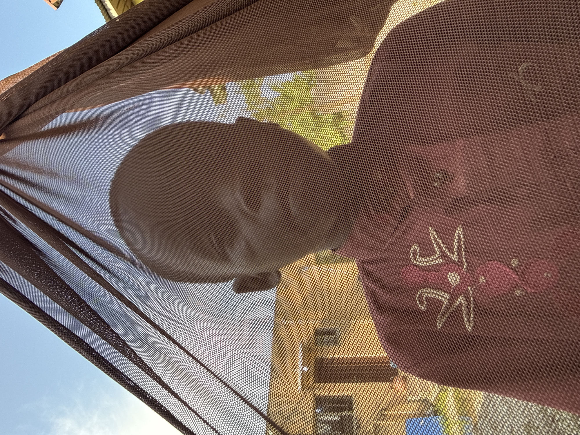 The image is a close-up, low-angle shot taken outdoors, possibly in Ado, Nigeria. The foreground is dominated by a dark brown mesh fabric, likely a canopy or screen, creating a textured filter through which the background is viewed. The mesh is draped, with its folds creating diagonal lines and varying levels of transparency.
Through the mesh, a person's head and upper torso are visible. They appear to be a young child, with a smooth, round head. The child is wearing a reddish-purple garment with a decorative element that looks like a stylized flower or emblem with white outlines. The child's face is partially obscured and softened by the mesh, but their eyes, nose, and mouth are discernible. The child's expression is difficult to read due to the filtering effect of the mesh, but the overall impression is calm.
Behind the child, the background suggests an outdoor setting. There are hints of greenery, likely trees or plants, bathed in sunlight, indicating a daytime scene. Further in the background, a textured wall, possibly of a building, is visible in a yellowish-orange hue. The bright sky is also visible, suggesting clear weather. The lighting indicates it is likely daytime, with the sun casting shadows and highlighting certain areas. The overall mood is somewhat intimate and perhaps playful, with the child partially hidden and peeking through the mesh. There is no visible text in the image.