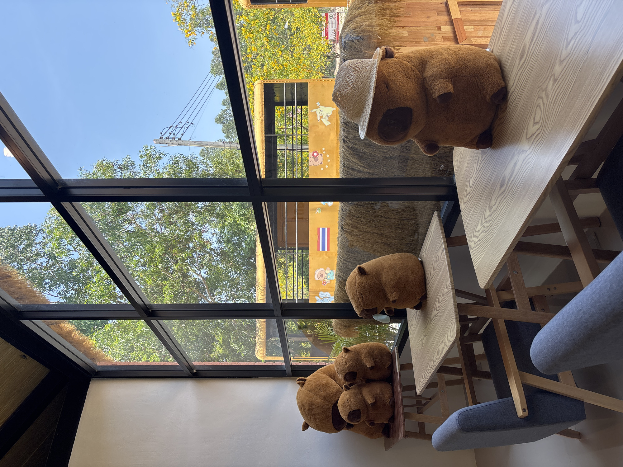 The image depicts the interior of a cafe or restaurant in Choeng Thale, Thailand. The photograph is taken from inside, looking through a grid-patterned glass wall or window. The outside view includes trees, power lines, and a yellow bus with illustrations and the Thai flag.
Inside, there are wooden tables and blue chairs, suggesting a seating area. On the tables and a shelf, there are brown stuffed animals resembling capybaras, one of which is wearing a straw hat. There is no visible human presence. The overall atmosphere is casual and whimsical.