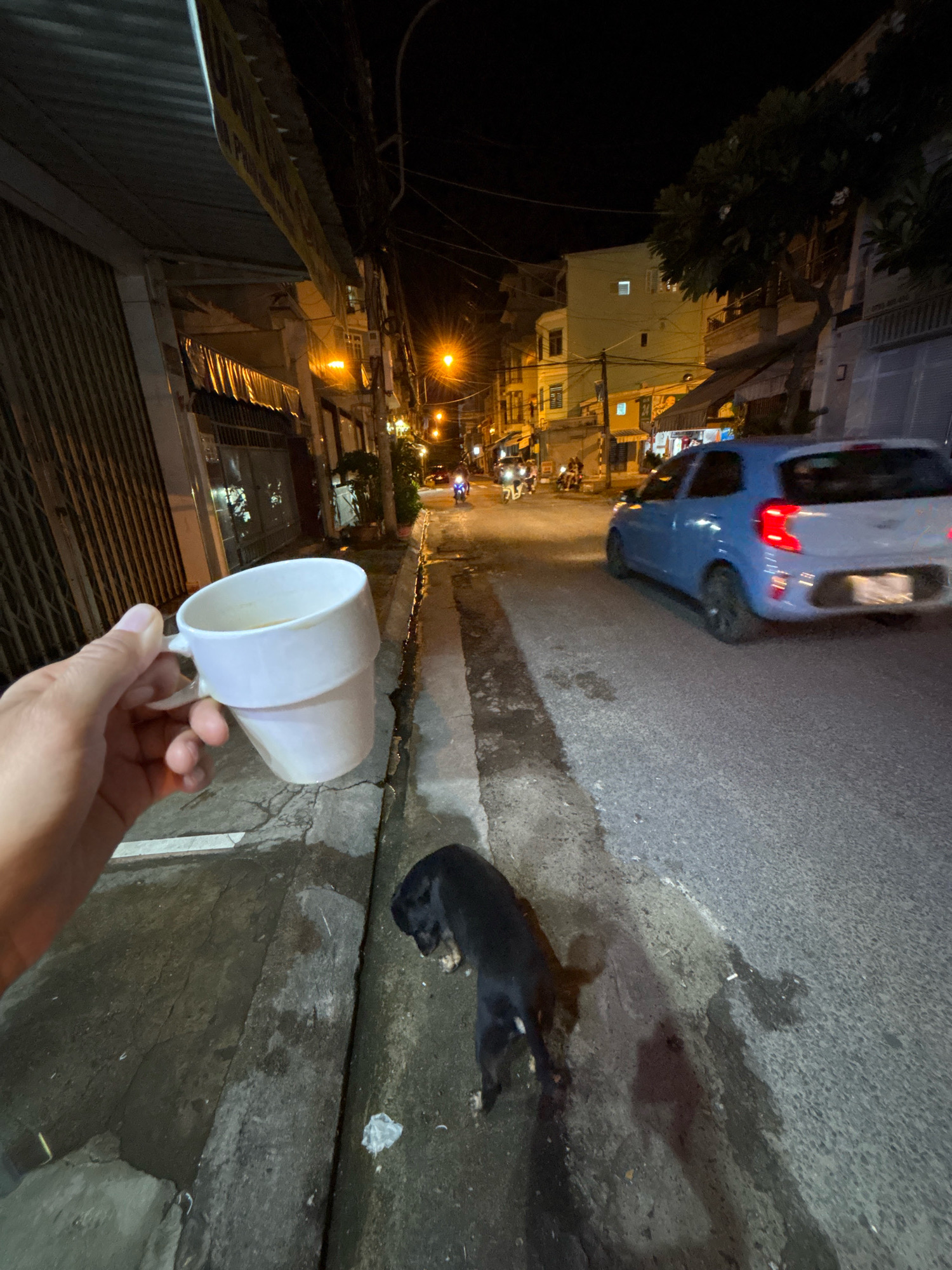 The image depicts a nighttime street scene in Nha Trang, Vietnam. In the foreground, a person's hand holds a white mug filled with a light-colored liquid, possibly coffee. The hand and mug are positioned in the lower left quadrant of the frame. A black dog is visible on the pavement in the middle ground, facing away from the camera and appearing to be sniffing or eating something on the ground. The street is paved and appears wet in places, with reflections of streetlights. A blue car is driving on the right side of the street, its taillights illuminated. Buildings with illuminated windows and awnings line the left side of the street. Streetlights cast a warm glow on the scene. Motorcycles and their riders are also present further down the street, indicating ongoing activity. The overall atmosphere is that of a typical urban street at night, with a mix of residential and commercial buildings.