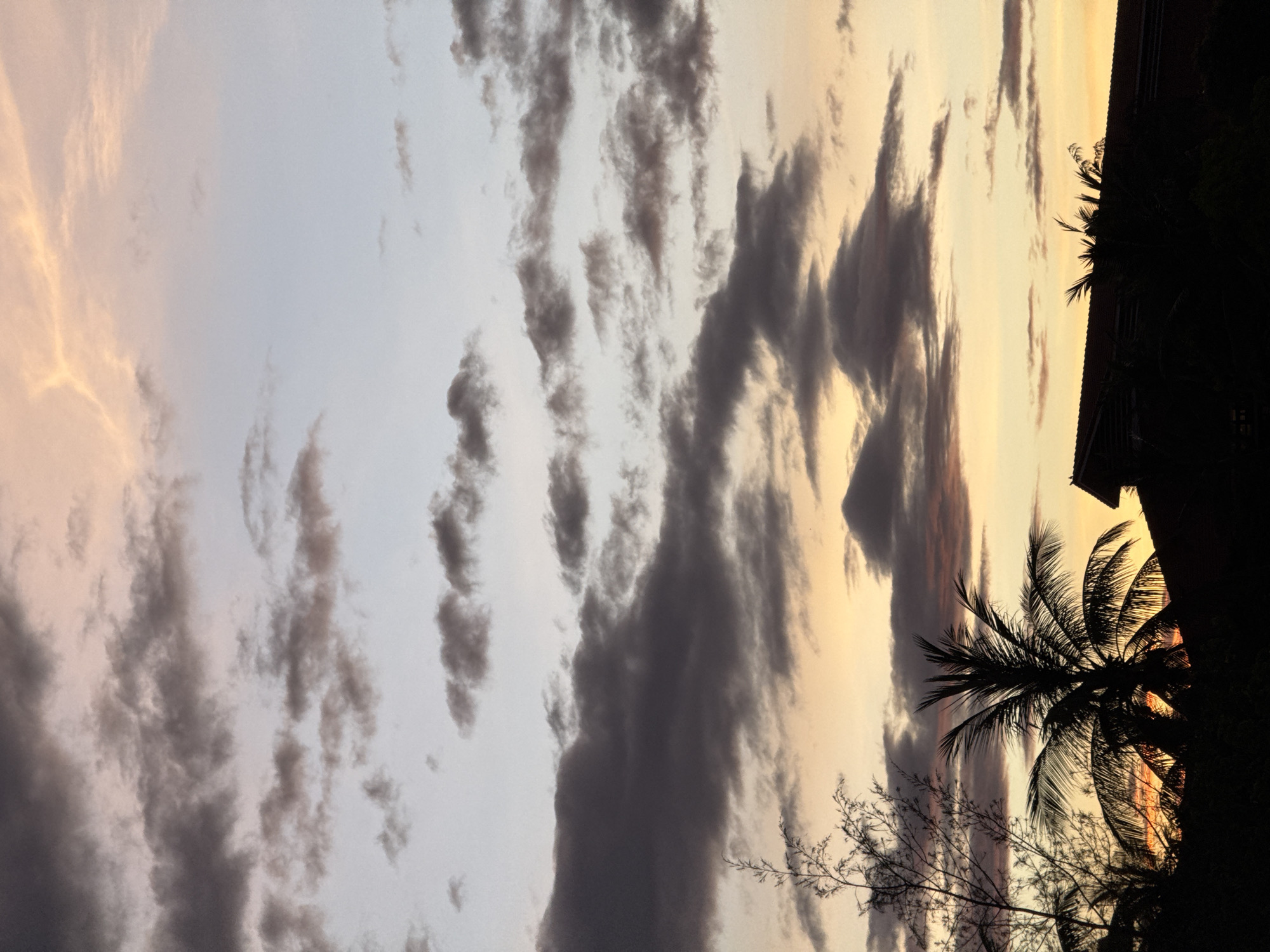 The scene captures a sunset in Đà Nẵng, Vietnam, dominated by a dynamic sky and silhouetted terrestrial features. The sky exhibits a vertical gradient, shifting from light blue-grey in the upper left to soft pink and orange at the zenith, then transitioning to vivid yellow and orange near the horizon. Overlapping layers of dark, fragmented clouds extend across the frame, partially illuminated by the setting sun's warm light. In the lower portion of the image, silhouetted elements include a tall, sparse-branched tree on the left, a prominent multi-fronded palm tree centrally, and the distinct outline of a gabled roof structure with a visible tiled edge on the right. No human figures or activities are observed.