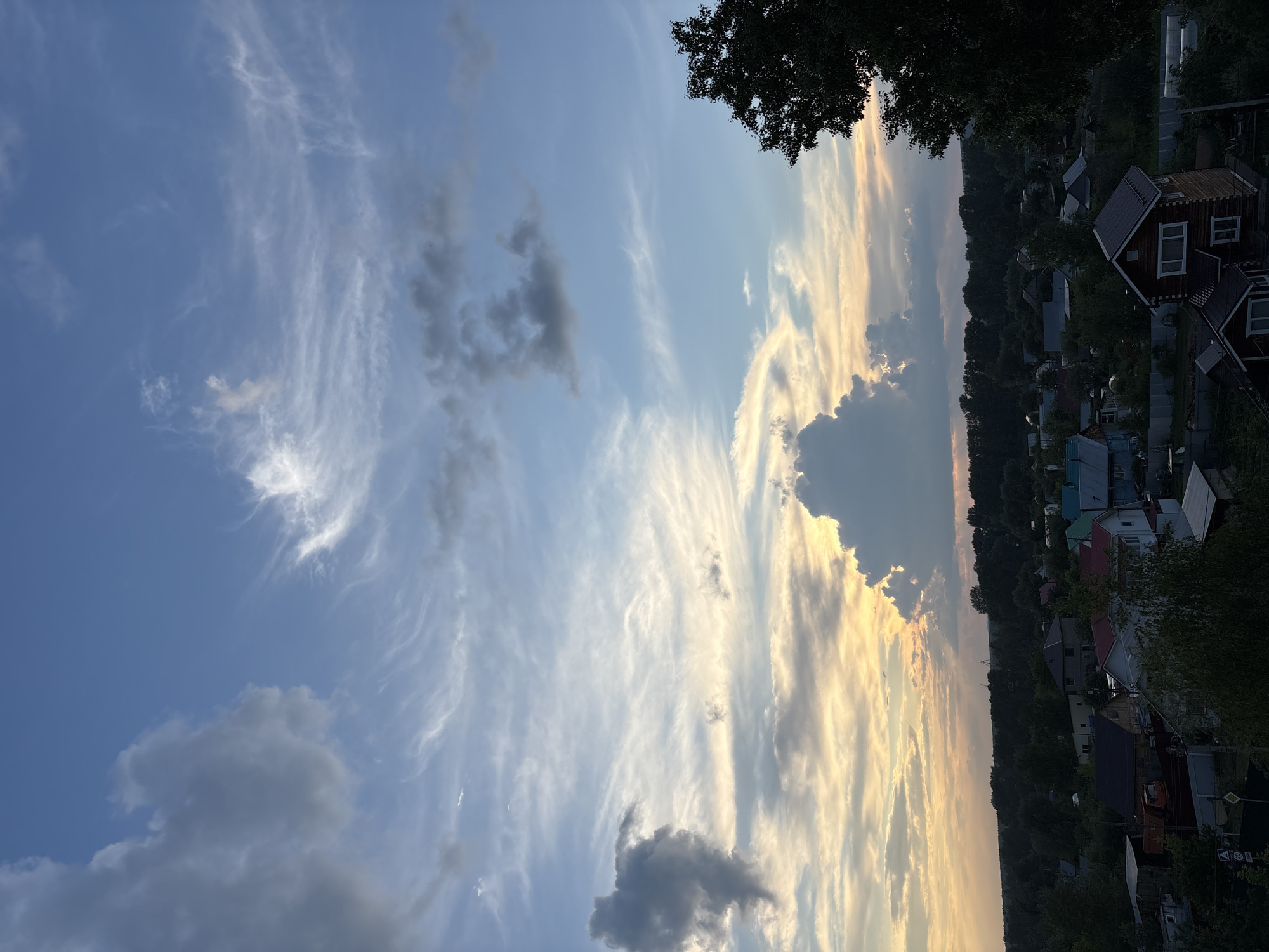 The image depicts a sunset over a rural settlement, likely in Chaikovsky, Russia, as indicated by the request. The sky is a dramatic mix of blues, grays, and yellows, with scattered clouds of varying densities. Wispy cirrus clouds streak across the upper portion of the sky, while heavier cumulus clouds gather lower, tinged with the warm hues of the setting sun. Below the sky, a dense line of dark green trees forms a backdrop to a collection of houses. These homes are varied in size and style, with some featuring red or blue roofs, nestled amongst the foliage. A dark silhouette of a large tree dominates the right side of the frame, adding depth to the scene. The overall impression is one of a tranquil evening in a semi-rural setting. There are no visible people or specific actions taking place.