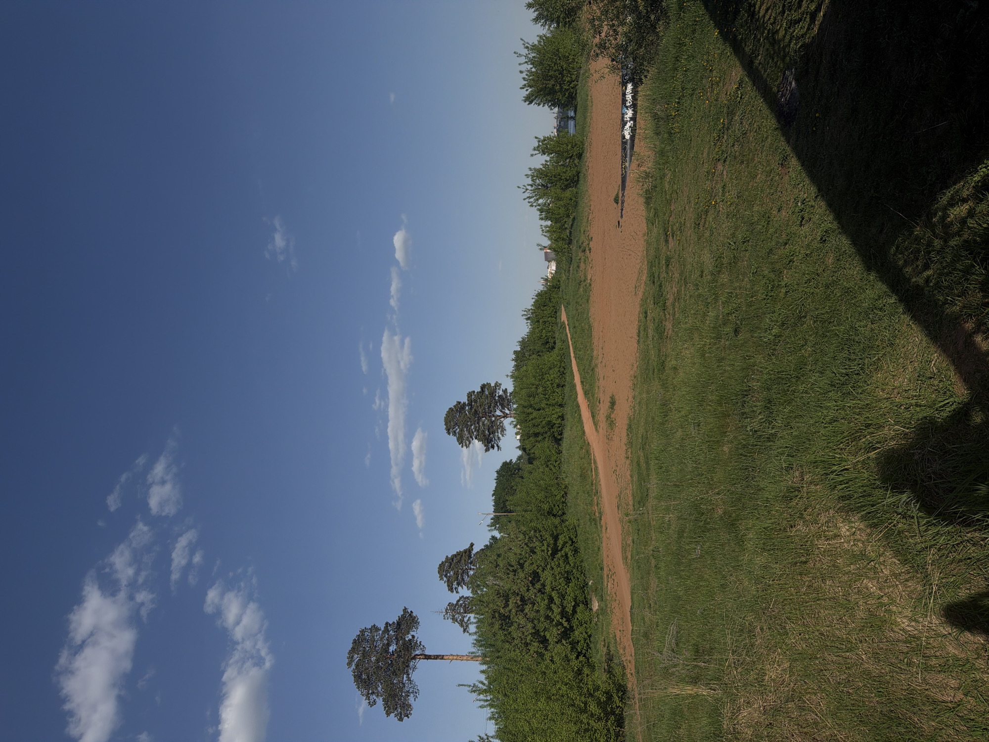 The image shows a landscape in Izhevsk, Russia. A dirt path runs along the right side, bordered by green grass and bushes. Tall, slender pine trees with dense tops are scattered on the left, reaching towards a blue sky with scattered white clouds. In the distance, a glimpse of white buildings can be seen. A shadow falls on the right side of the image, likely from a nearby structure or object.