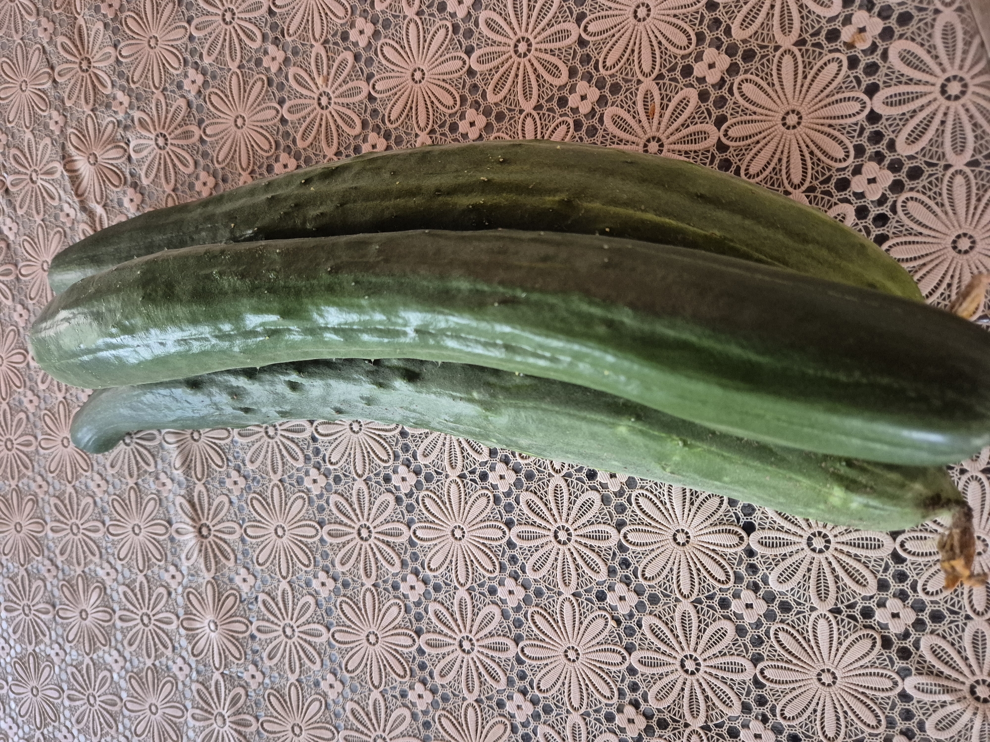 Three cucumbers are lying on a patterned tablecloth. The cucumbers are a dark green color and appear to be fresh. The tablecloth is a light pink color and has a floral pattern. The image is taken from a top-down perspective, and the lighting is natural. The scene is indoors, likely on a table. The location is Unknown, Unknown.