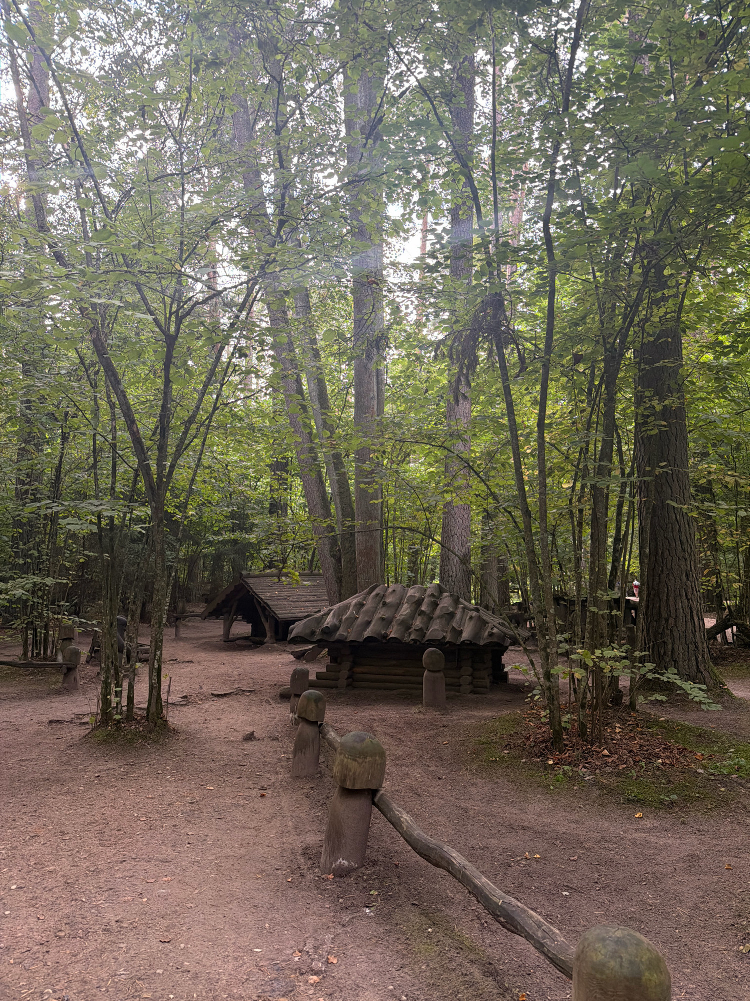 The image depicts a wooded area in the Tērvete Nature Park, Latvia. In the foreground, a dirt path winds through the trees, bordered by a rustic wooden fence made of posts topped with rounded wooden elements and a thick, uneven branch as a railing. Two small, wooden structures with thatched roofs are visible further down the path, nestled amongst the trees. The structures appear to be designed in a traditional, rustic style. Tall trees with green foliage dominate the background, creating a dense canopy that filters the sunlight, casting dappled shadows on the ground. The overall environment suggests a tranquil, natural setting, possibly an ethnographic or historical reenactment area within the park. One person is partially visible in the background on the right, near another wooden structure, suggesting human presence in the area. The ground is covered with dirt, fallen leaves, and sparse vegetation.