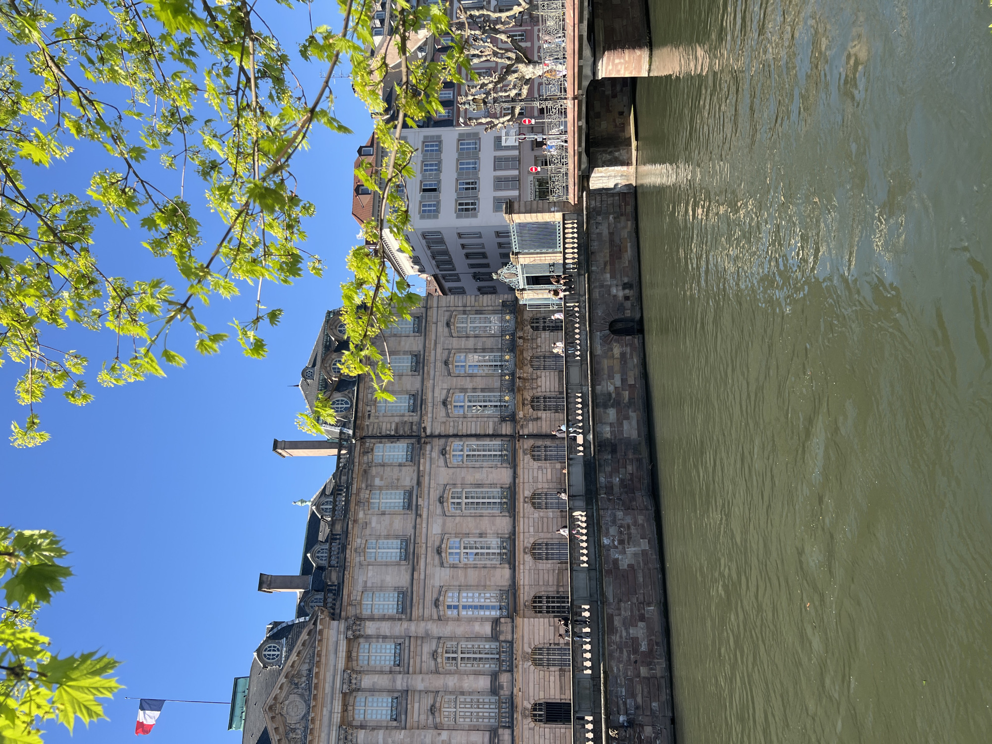 The image shows a view of Strasbourg, France, along the Ill River. The perspective is from a lower angle, possibly from a boat or the riverbank.
On the left is a tree with green leaves partially obscuring the clear blue sky. To the right of the tree is a large stone building with many windows and detailed architecture, likely a historical building.
Adjacent to the building is the Ill River, which appears a murky green color. A stone embankment runs along the river's edge, with people visible along the railing, suggesting a walkway or promenade. In the background across the river, a bridge can be seen along with other buildings in the city. A French flag is on display next to the first building.