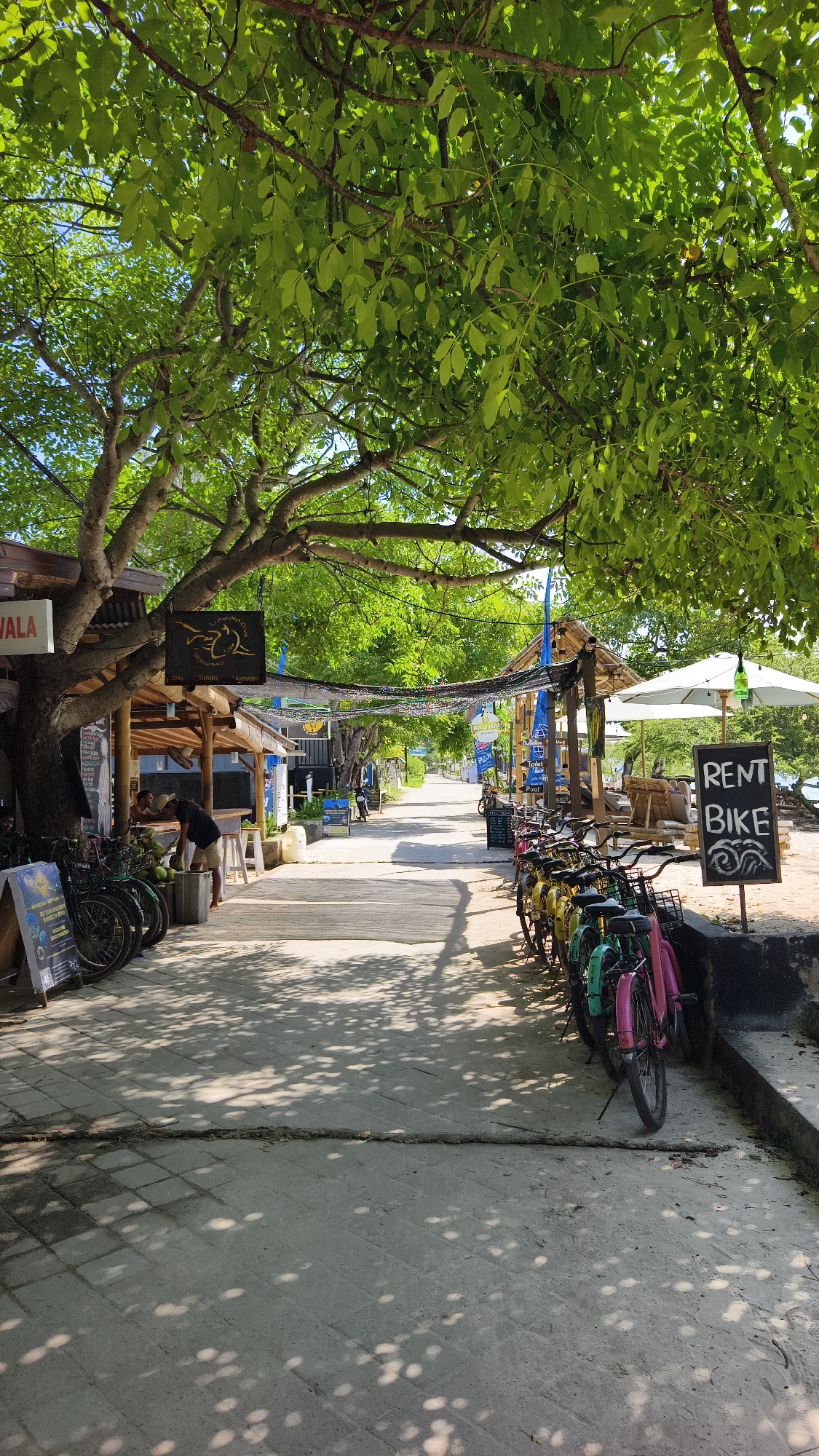 The image depicts a street scene in an unidentified location within Indonesia. The foreground showcases a paved pathway covered in the dappled shade of an overhanging tree canopy. Bikes are parked along both sides of the pathway. A 'Rent Bike' sign is visible. On the left side of the path, a man in dark clothing is standing by a shaded shop or stall. Other structures are visible along the sides of the pathway including a few more small shops and umbrellas. The pathway stretches into the distance. Overhead, a string of decorations spans across the street.
