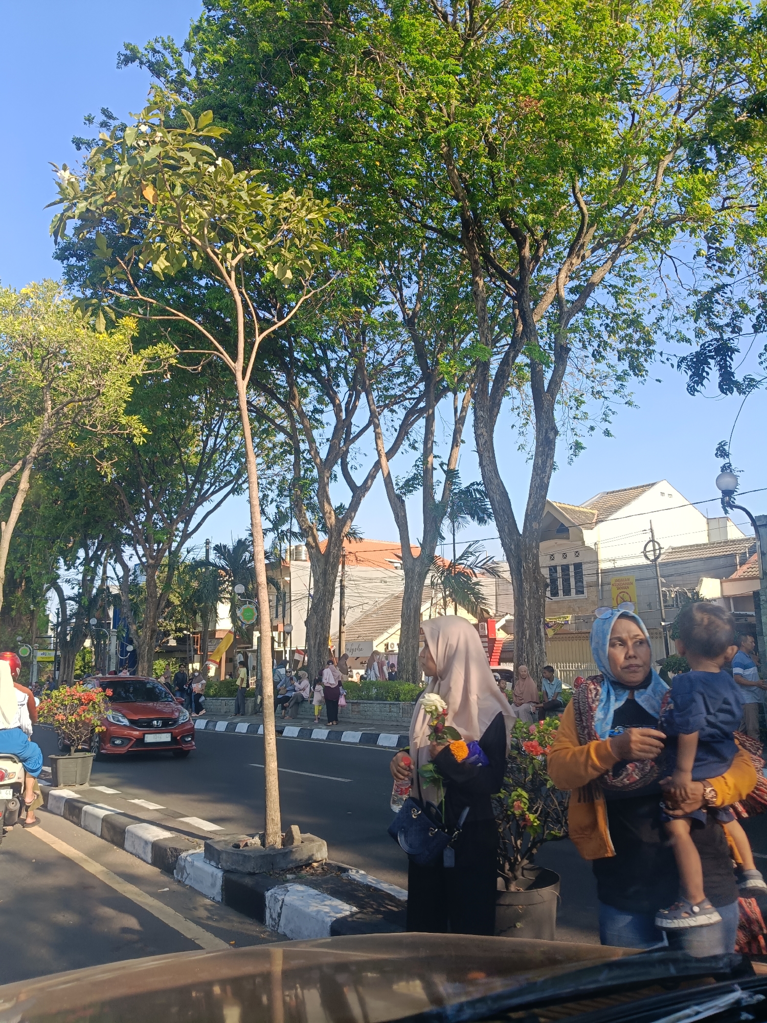 In Randuagung, Indonesia, a street scene unfolds under a clear blue sky. The foreground is dominated by the hood of a vehicle, suggesting the viewer is inside a car. To the left, a person on a motorcycle is visible, their back to the camera. The road features a distinct black and white striped curb. Beyond the curb, a reddish-orange car drives past. On the sidewalk, several people are gathered. Two women are prominent: one on the left wears a light-colored hijab and a black outfit, holding a white flower and a blue handbag; the other, on the right, has a light blue hijab and a patterned scarf, holding a young child who is wearing a yellow cloth and blue shirt. The child is perched on her hip, facing away from the camera. Several other individuals, including children, are seated or standing on the sidewalk behind them. The background reveals buildings with terracotta roofs and a line of mature trees with lush green foliage, casting dappled shadows on the street. The overall atmosphere appears to be daytime, likely in the late afternoon, given the warm lighting.
