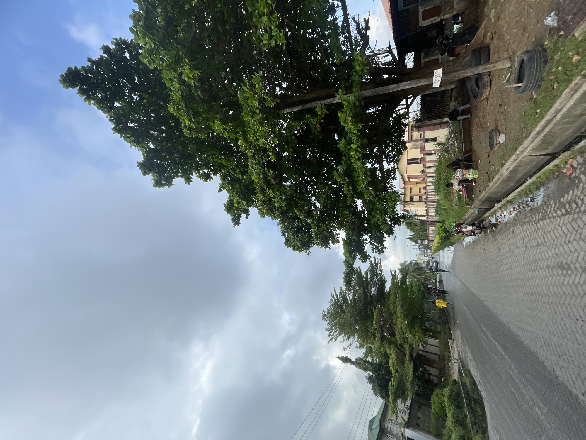 The image shows a street scene in Moba, Nigeria. The view is from a low angle looking upwards. A large tree with dense green foliage dominates the upper left portion of the frame, while another line of trees extends along the right side of the road. The street is paved with interlocking concrete pavers and appears wet. A few people can be seen on the right side of the road, some near a small makeshift shop or stall constructed against a tree. Other figures are visible further down the street. The sky is overcast with grey clouds. Buildings can be seen in the background, including a multi-story structure with a tan and beige facade. Near the base of the largest tree, several used tires are stacked or leaning against it. Some garbage is visible alongside the road. The overall impression is one of a typical urban street scene in a developing area.