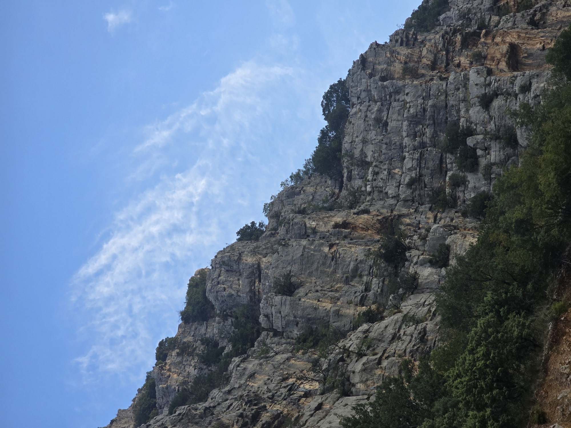 A steep, rocky cliff face dominates the foreground and middle ground of the image, with sparse green vegetation clinging to its ledges and base. The rocks are a mix of gray and reddish-brown hues, showing layers and fissures. The sky above is a clear, bright blue with wispy white clouds stretching diagonally across the upper right portion of the frame. The scene appears to be an outdoor natural landscape, likely a canyon or mountain area, and is consistent with the terrain found around Podgorica, Montenegro. There are no people or man-made structures visible.
