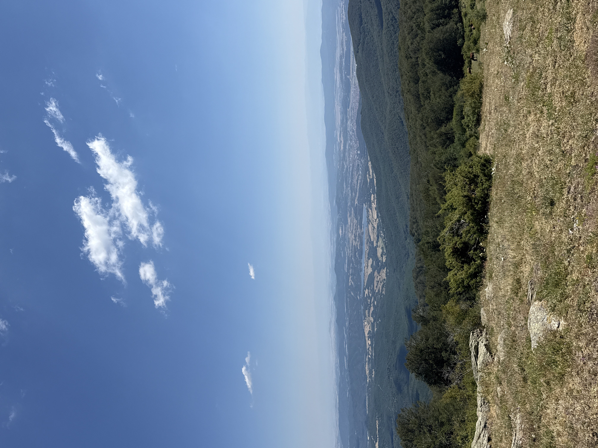 The image depicts a panoramic view from a high vantage point, likely a hilltop or mountain, overlooking a vast landscape. The sky is a clear, bright blue with scattered, wispy white clouds. Below, rolling hills covered in dense, dark green forests dominate the midground. In the distance, a hazy, expansive valley unfolds, revealing a patchwork of agricultural fields and what appears to be a town or city nestled amongst the terrain. The foreground consists of a grassy, rocky slope with dry, sun-bleached grass and scattered boulders. A few low-lying shrubs and trees are also present in the foreground and along the edges of the forest. The overall impression is one of a natural, serene environment on a sunny day. While the specific location in Zlatitsa, Bulgaria cannot be definitively confirmed from the image alone, the landscape suggests a rural or mountainous region. There are no visible people or animals in the immediate foreground, though some dark shapes resembling horses can be seen grazing in the far distance within the grassy area near the forest line.
